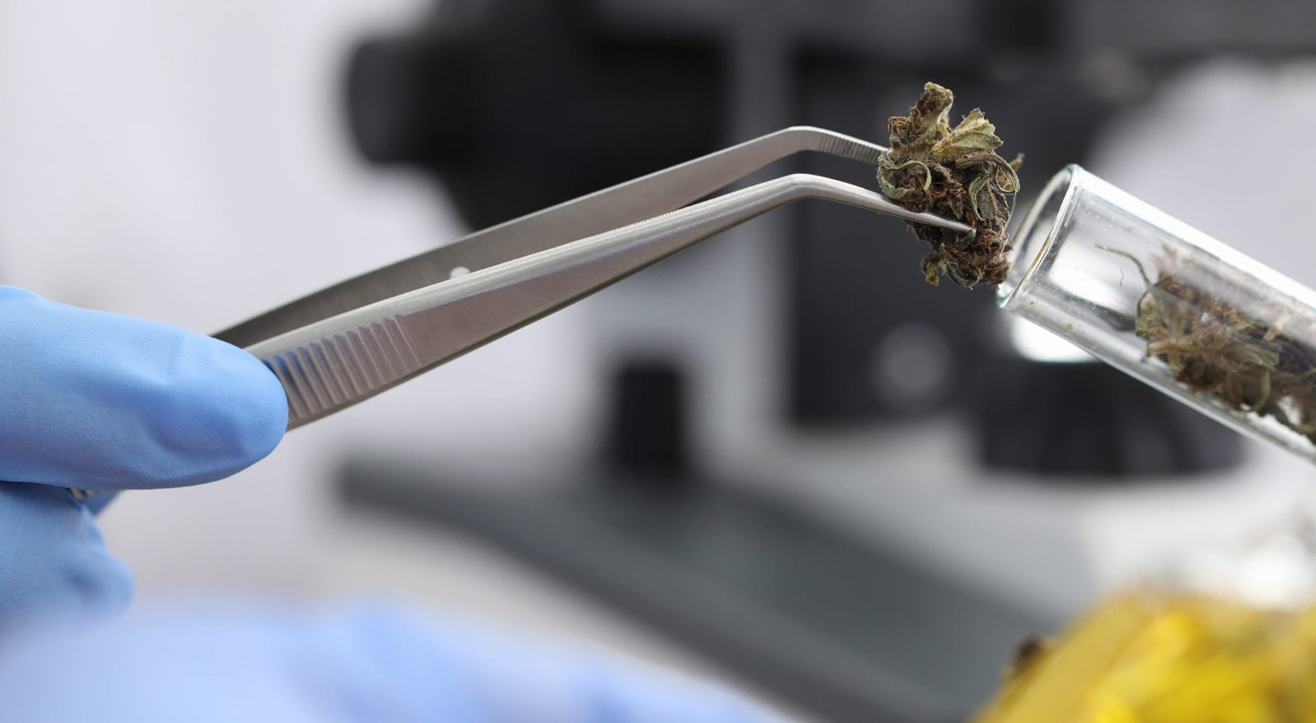 Tetra Bio-Pharma gets 5th orphan drug status for CBD topical