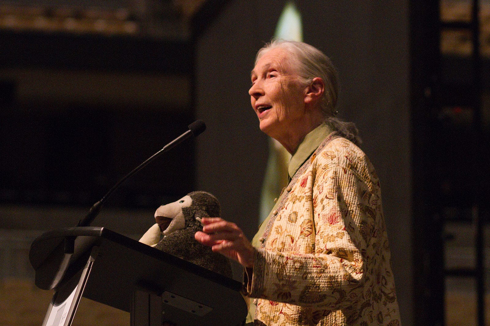 Jane Goodall partners with Neptune Wellness Solutions for forest-friendly hemp brand