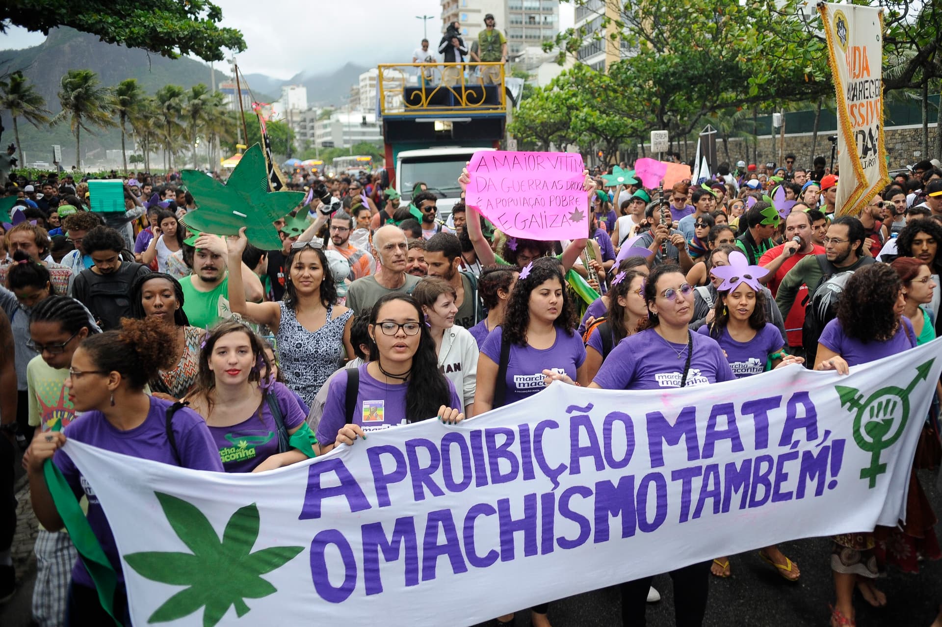 Vancouver-based Brains first to enter Brazil's new medical weed market
