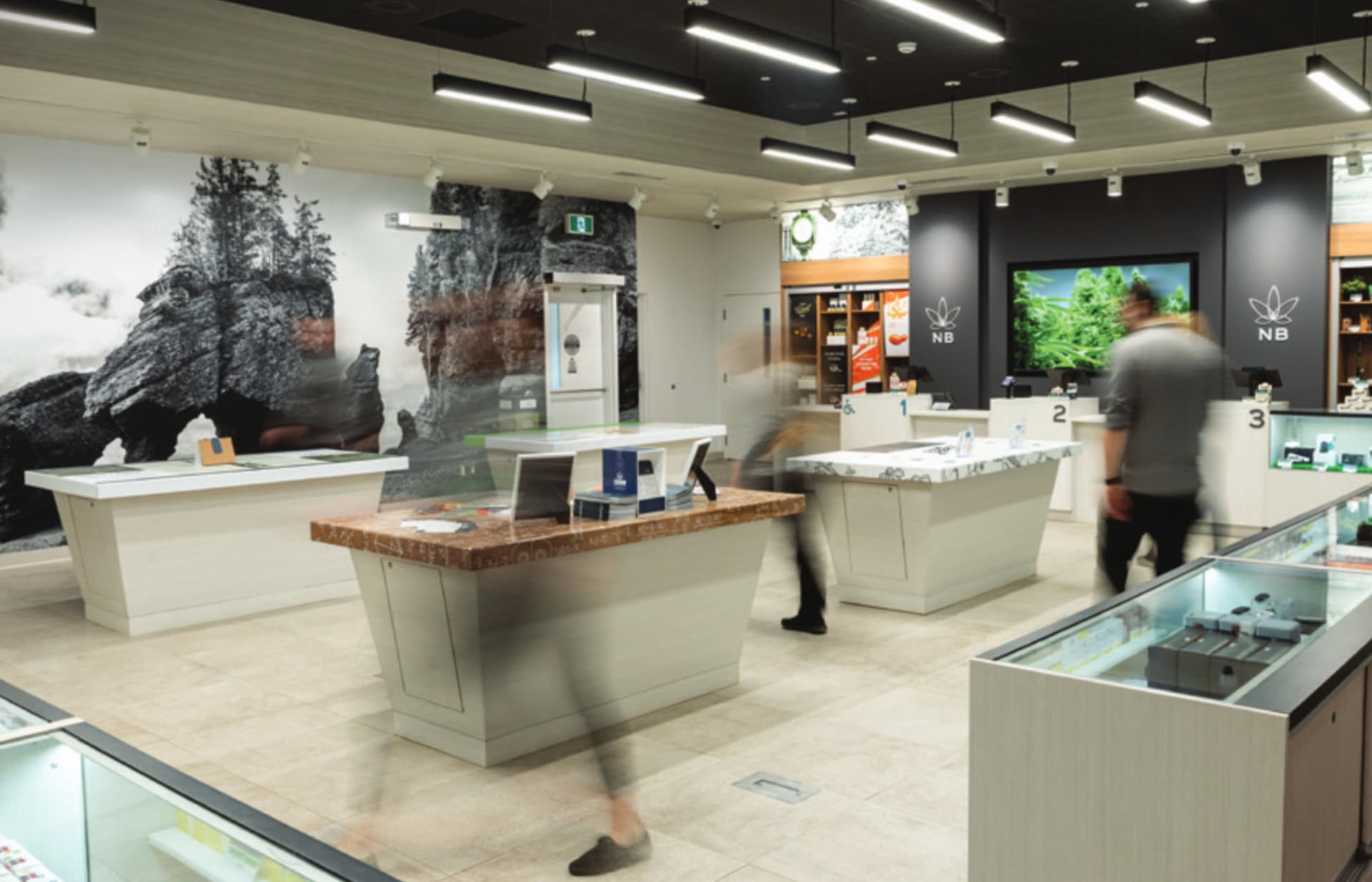 Cannabis NB reports second straight profits amid pandemic