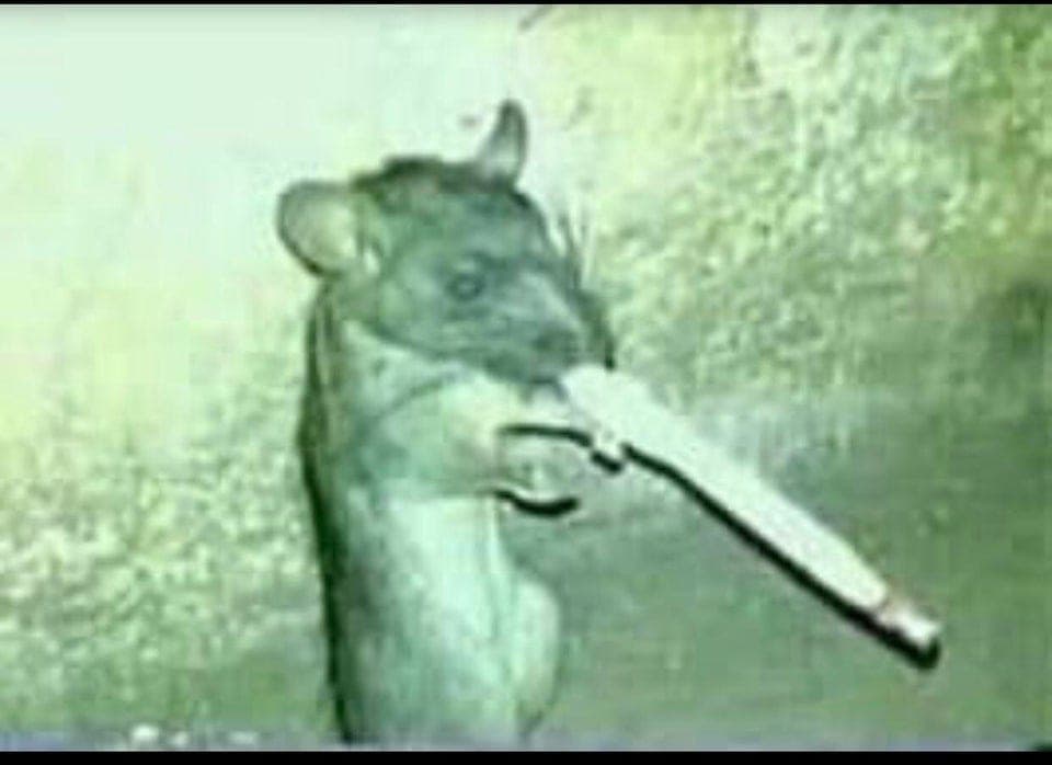 The lonely stoner seems to free his mind at night