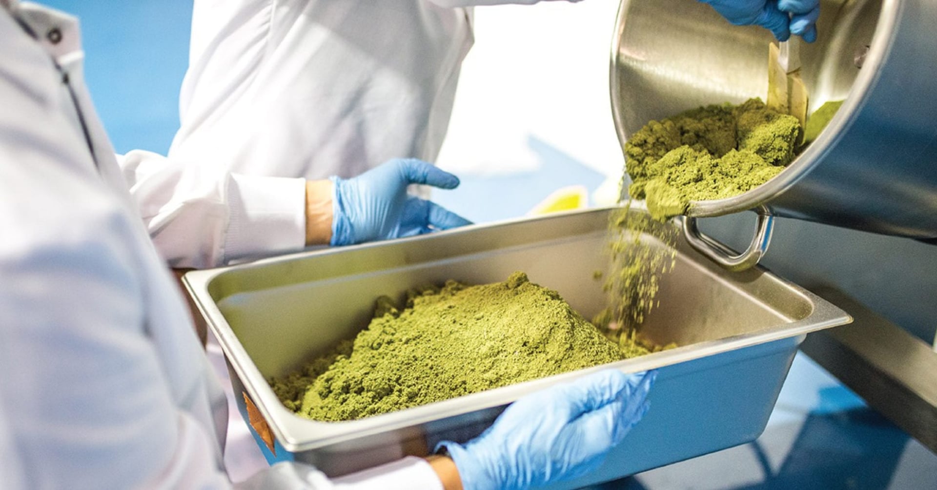 Third-party extractors and psychedelic prospectors featured at KCSA investor conference