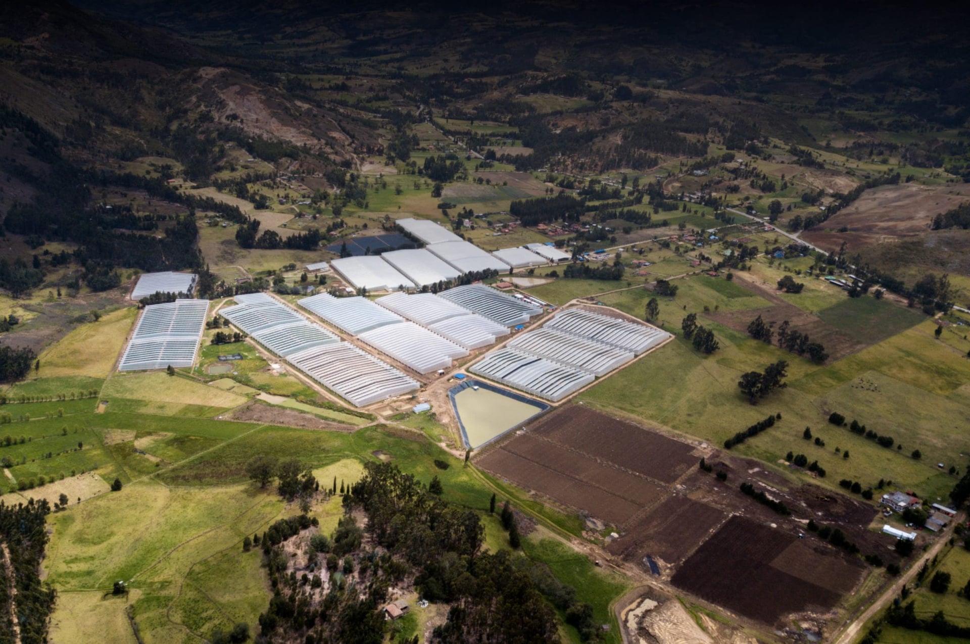 Canopy keeps one toe in Colombia, inks regional supply deal