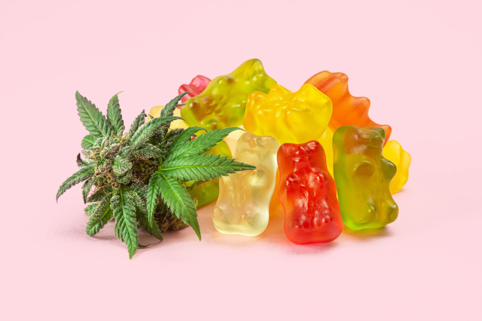 Canopy Rivers invests $2M into Edmonton edibles company