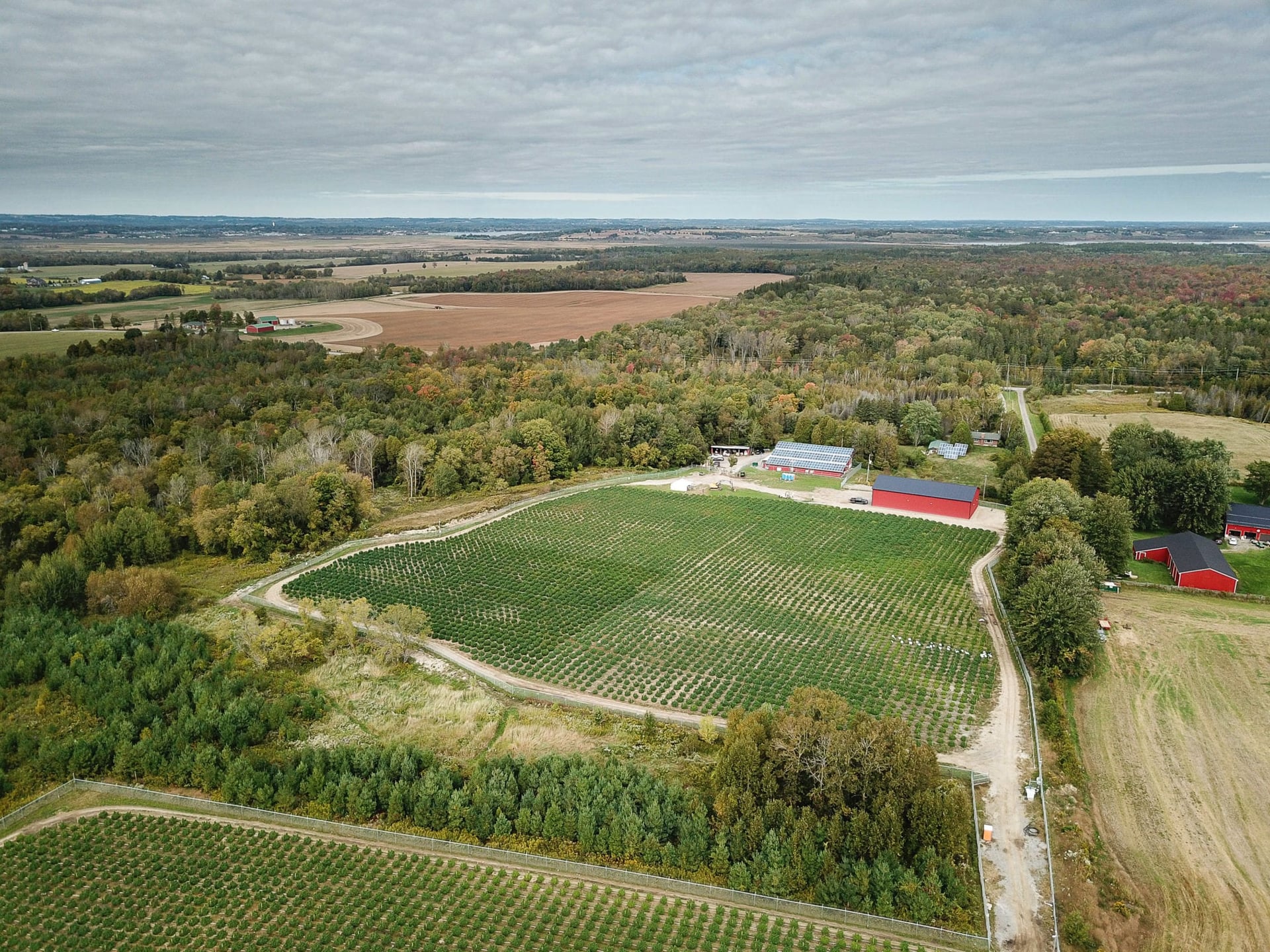 Aphria, Aleafia Health settle dispute over cancelled supply deal