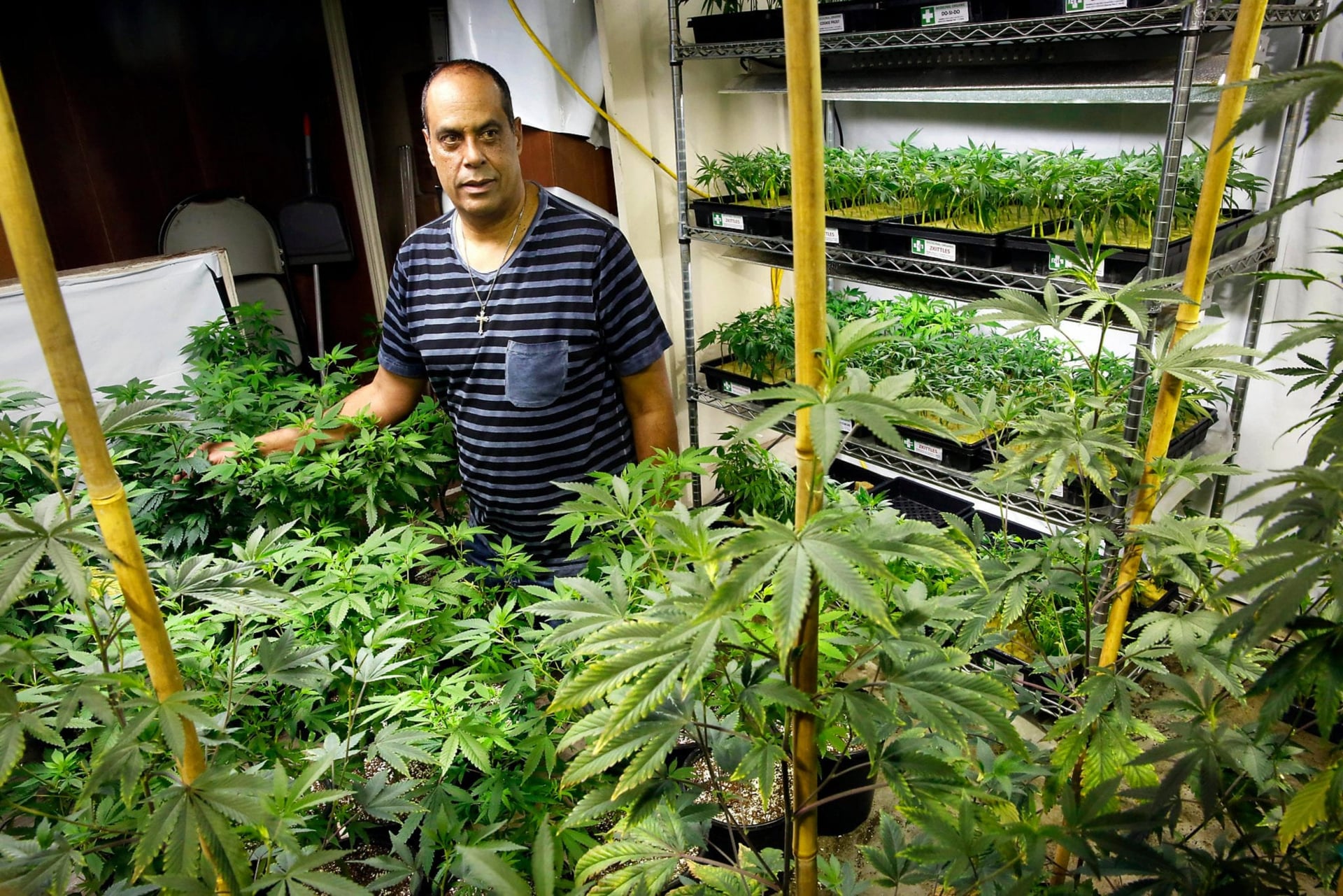 San Francisco Have a Heart dispensary CEO alleges foul play in High Times pot shop deal