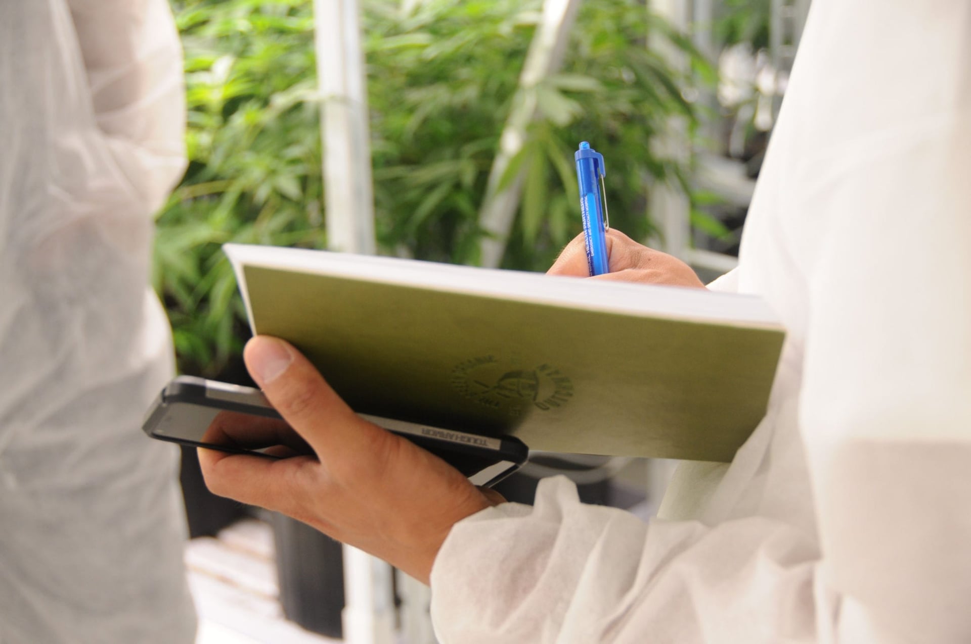 TGOD falls on low revenues, introduces 28-gram value brand