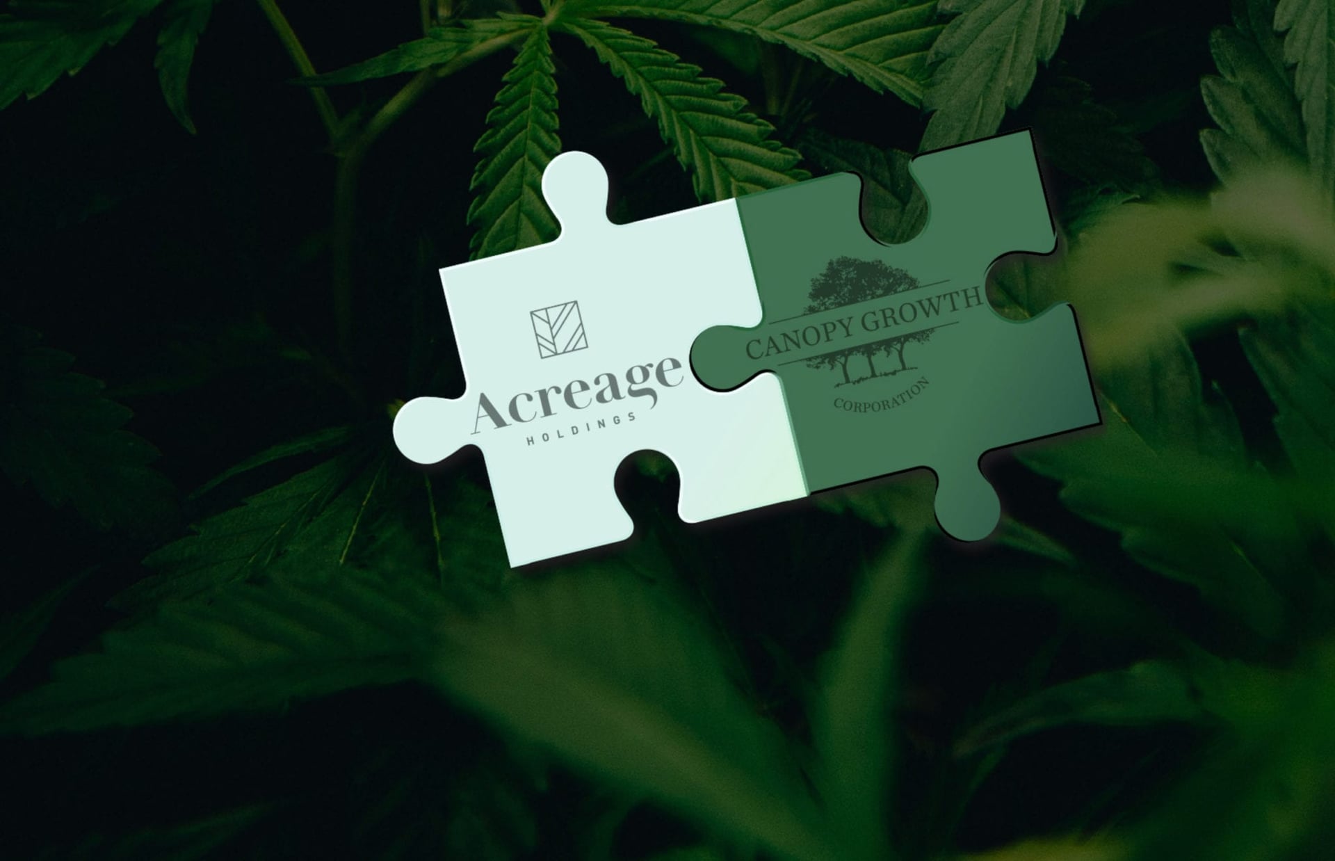 Acreage Holdings signs off on loan with 60% interest rate