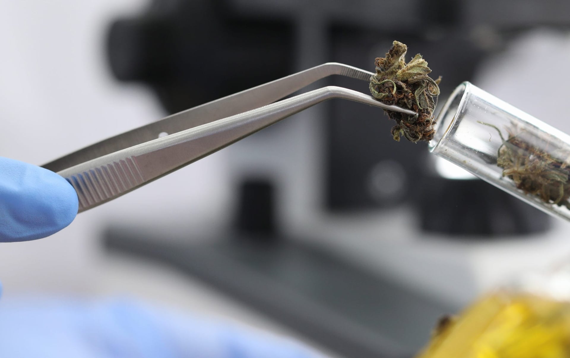 Valens backs new study to verify THC levels in medical weed products