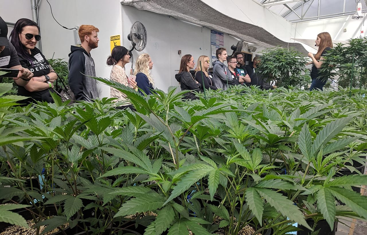 New Heights virtual summit to discuss present and future of Canadian canna-tourism