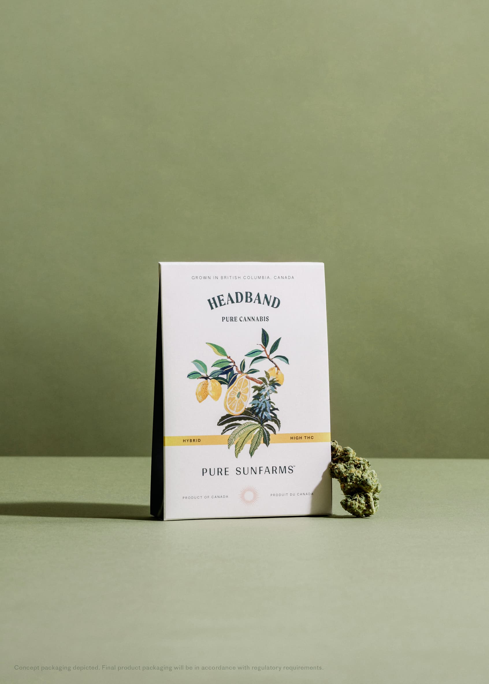 BC's Pure Sunfarms launches seed sales