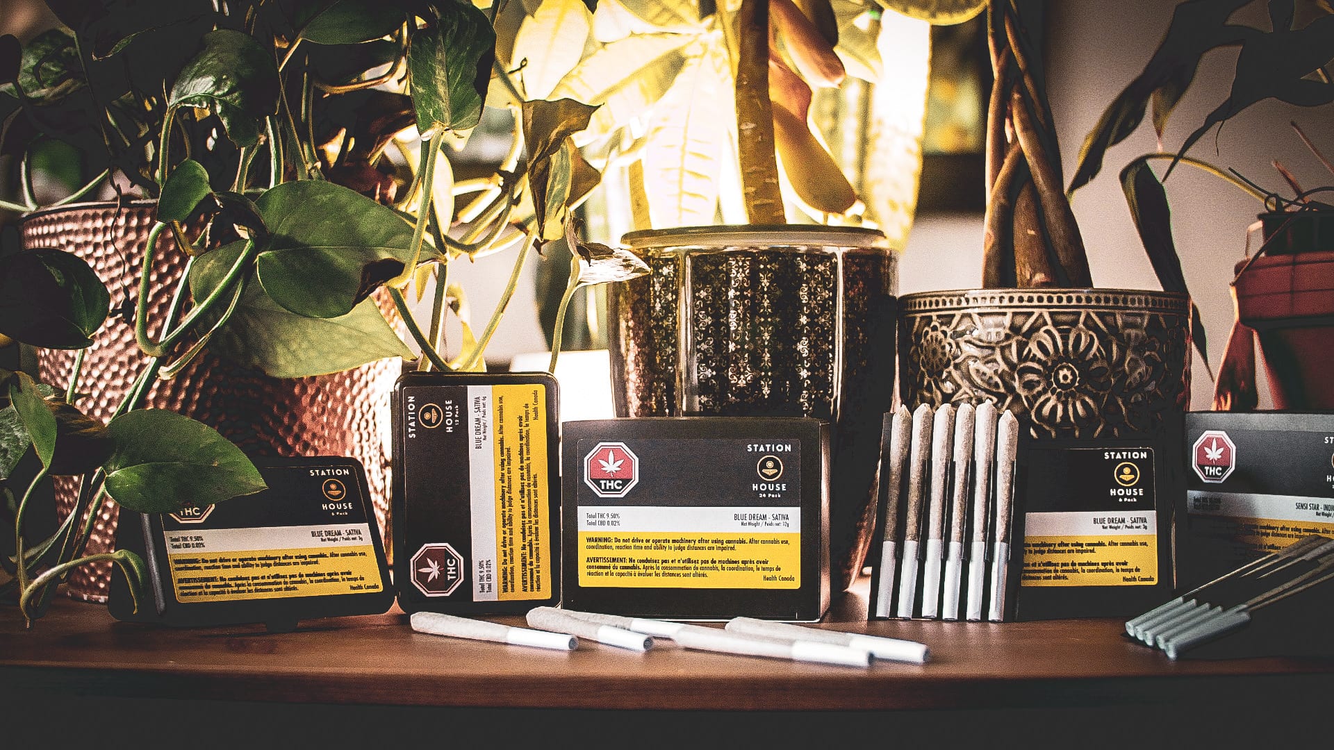 Sensi Brands granted sales licence, launches Station House brand