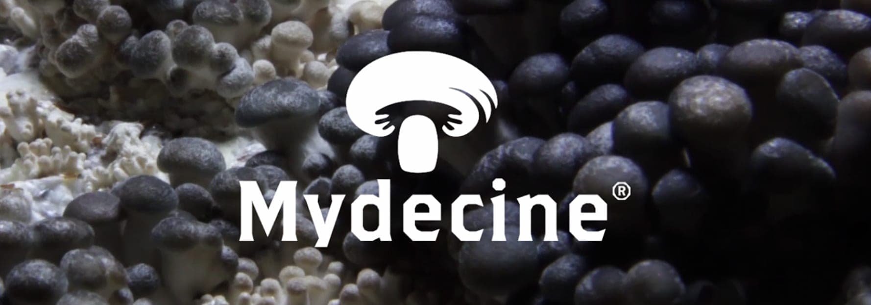 Psychedelic company Mydecine acquires firm focused on treating veterans