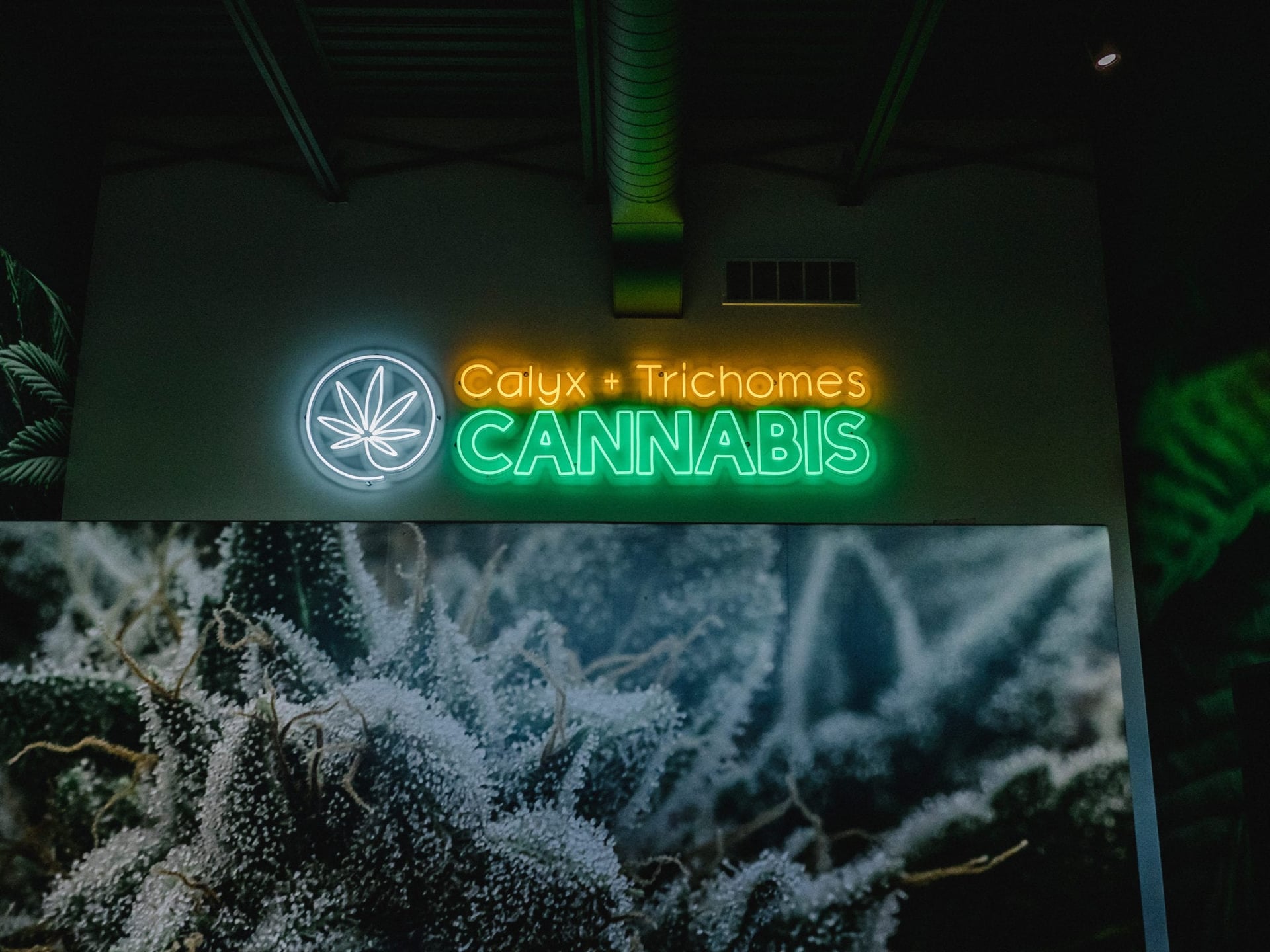 Behold, a weed store that looks like it actually sells weed