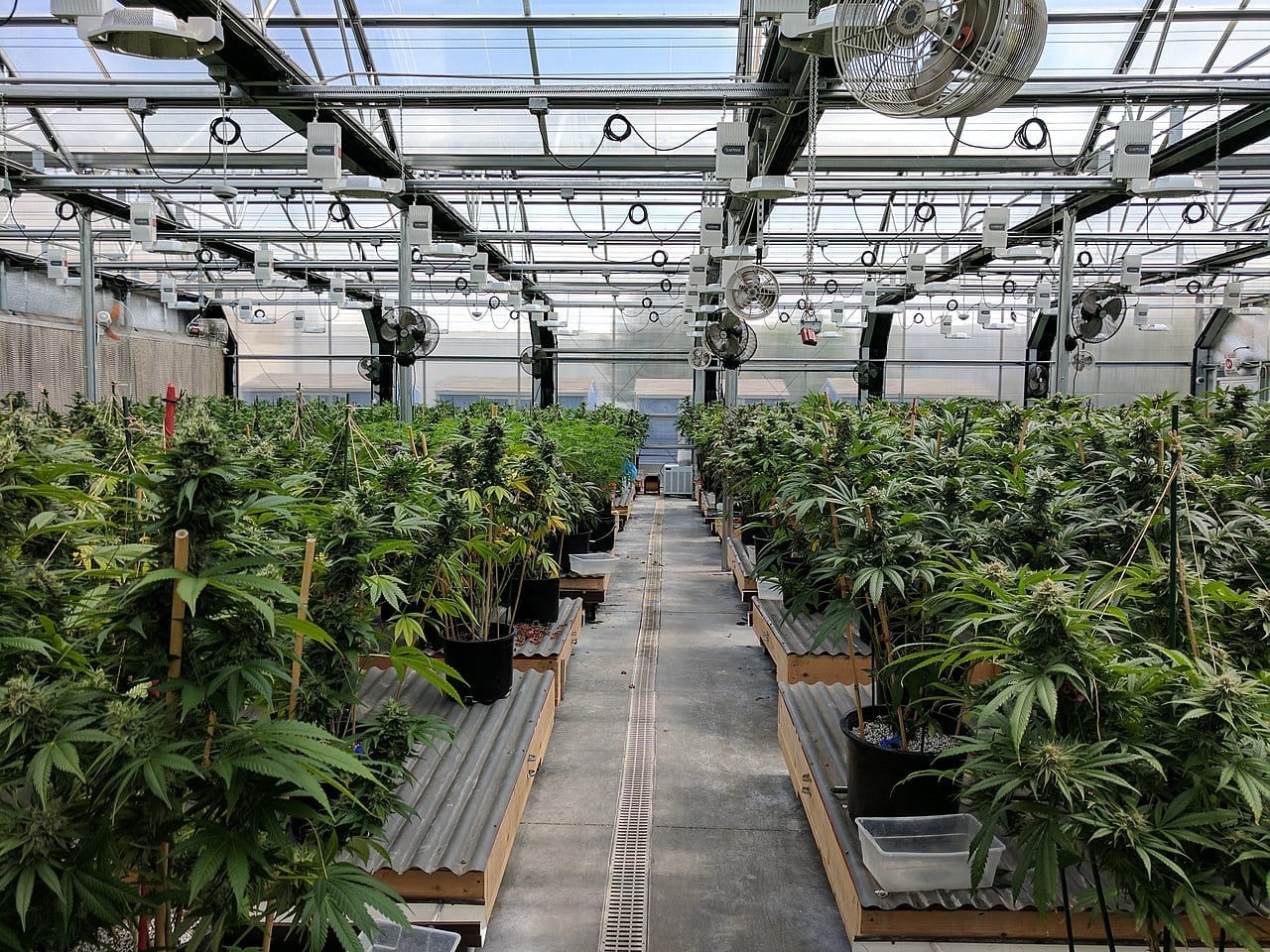 Innovative Industrial Properties continues earnings streak