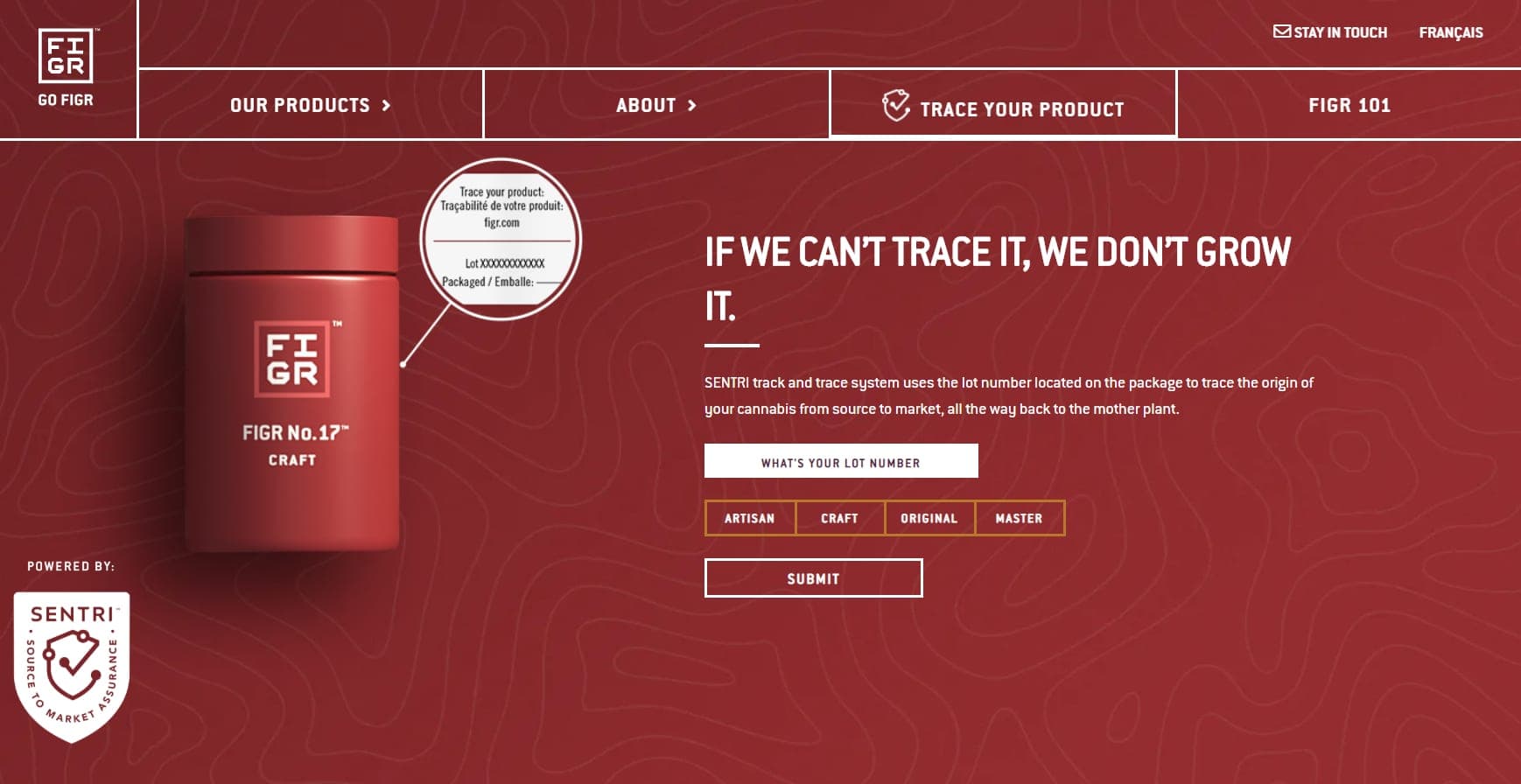 Online sales BC survey Figr Brands