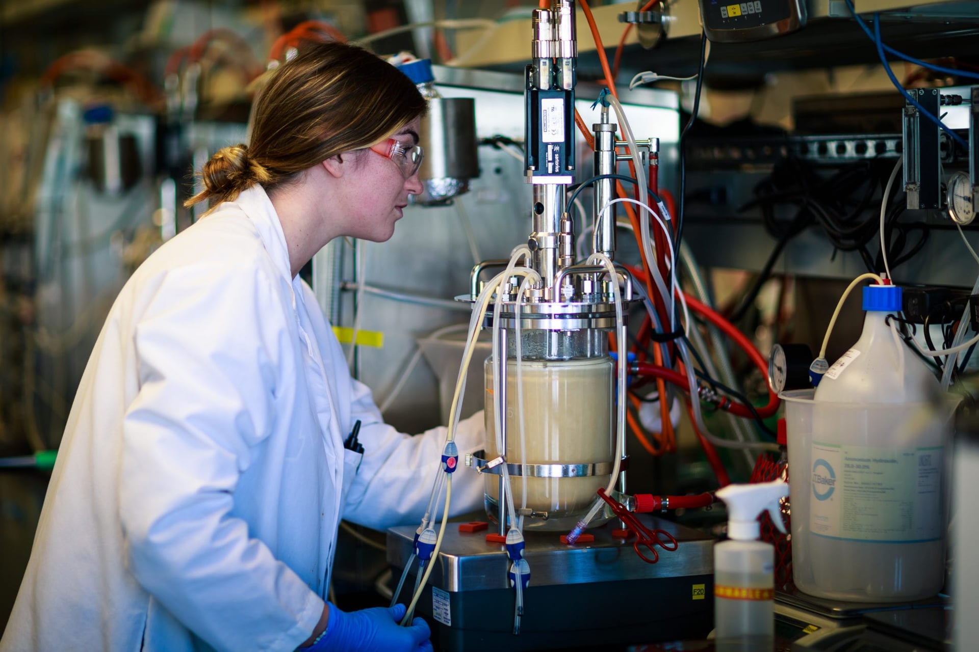 Amyris scales production of first yeast-created cannabinoid