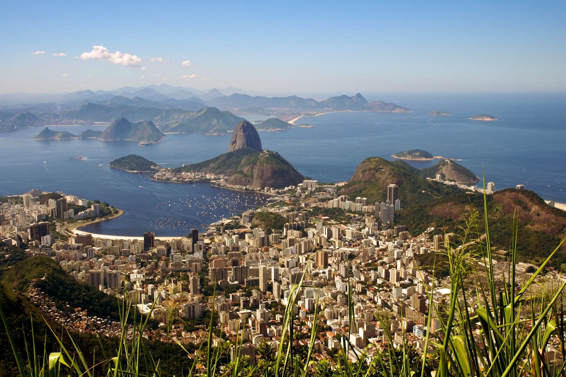 MediPharm strikes medical cannabis supply deal in Brazil