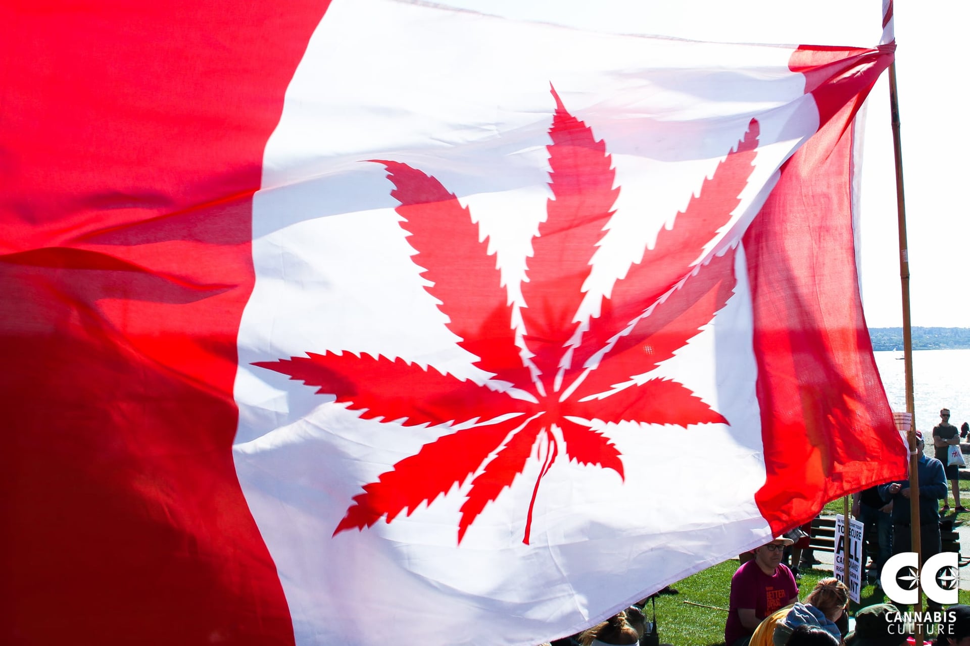 Canada celebrates its fourth year since adult use cannabis legalization