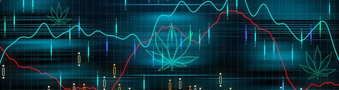 ManifestSeven goes public to continue pursuit of becoming the 'Amazon of Cannabis'