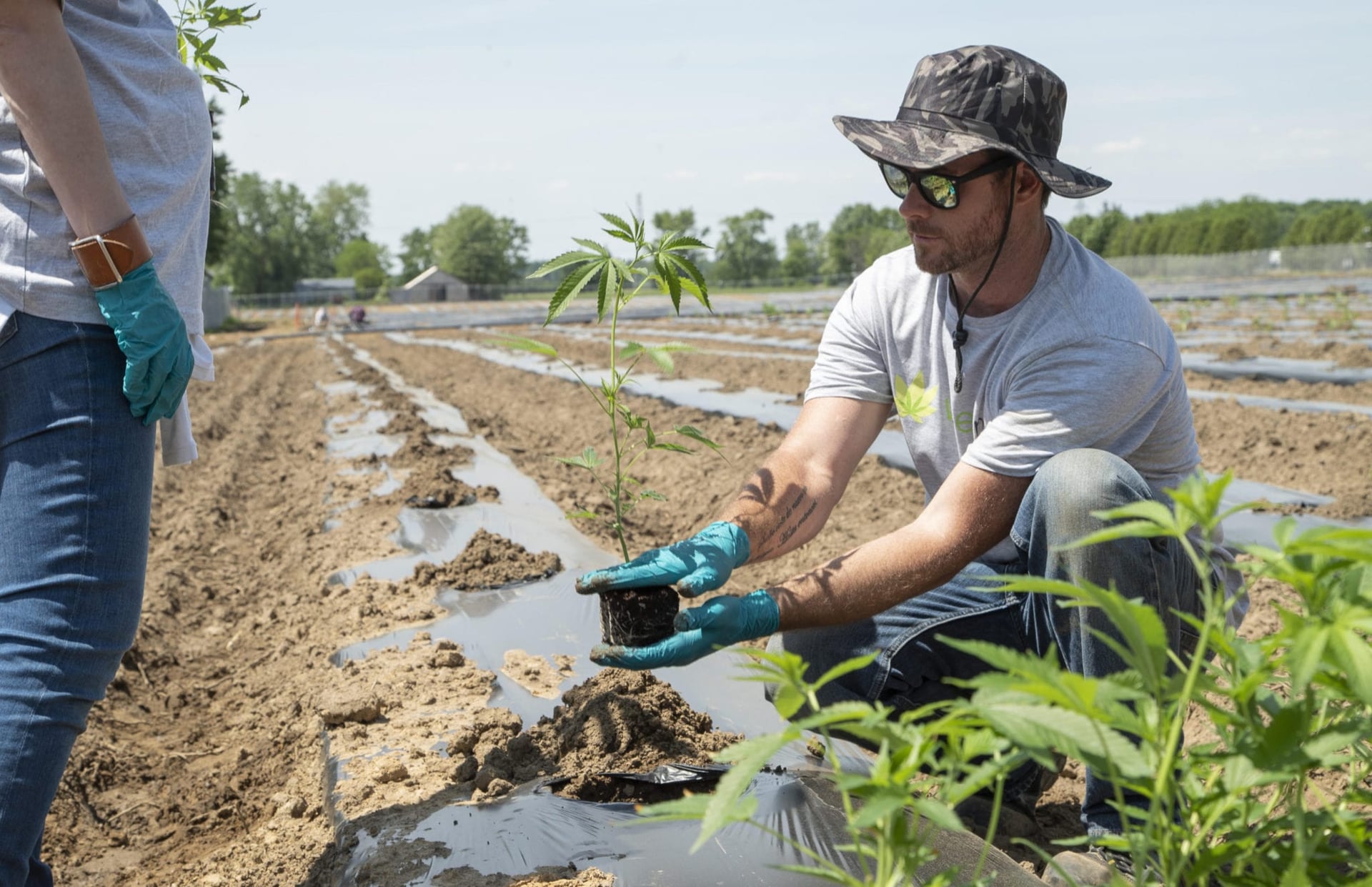 CanMar conference to spotlight path from legacy to legalization