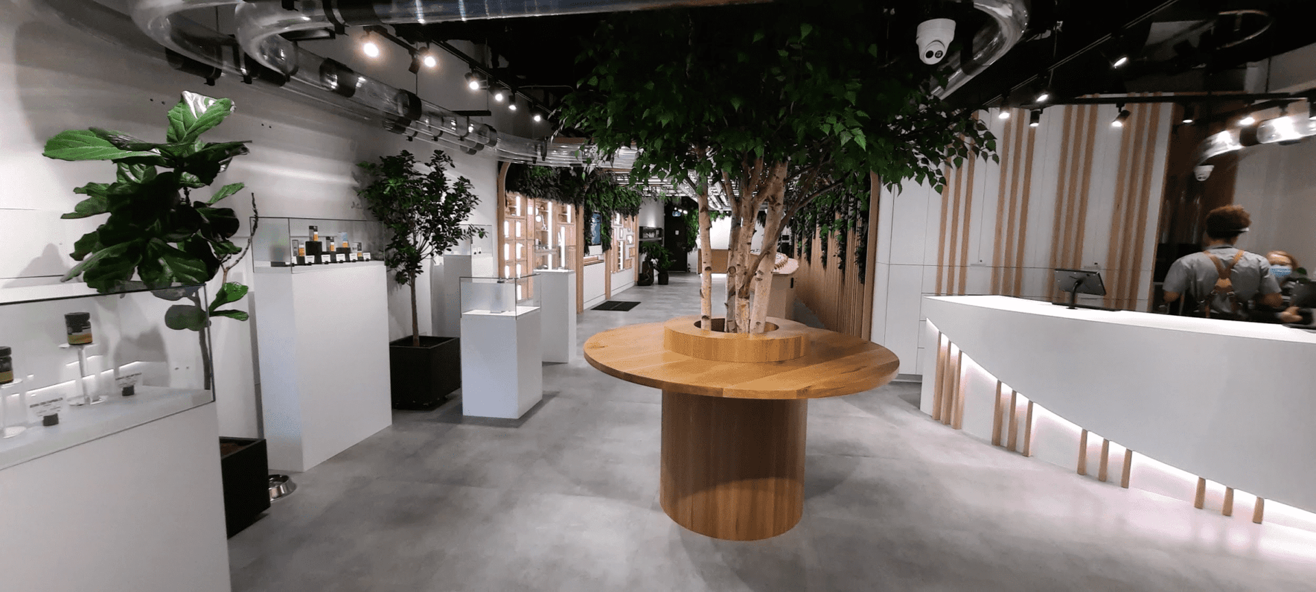 Data firm BDSA banks on Canadian cannabis market boost with new data service