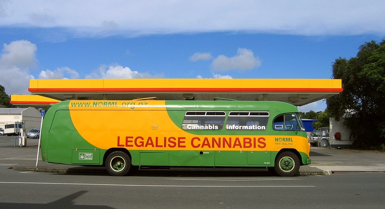 Why the New Zealand cannabis vote was late