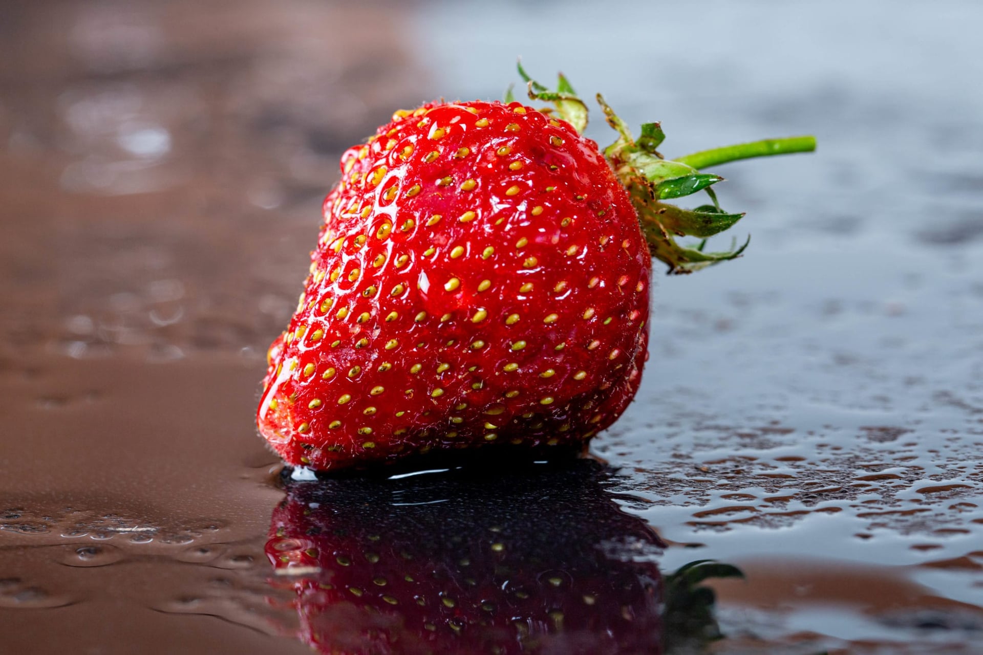 CBD oil on strawberries reduces mould, extends shelf life: study