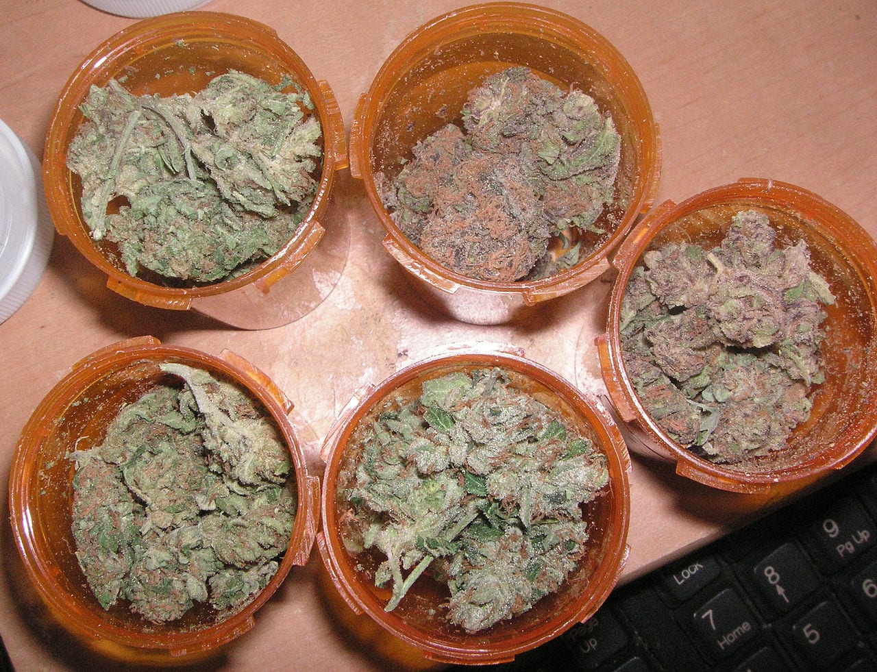 Are these countries next in line to legalize medical cannabis -