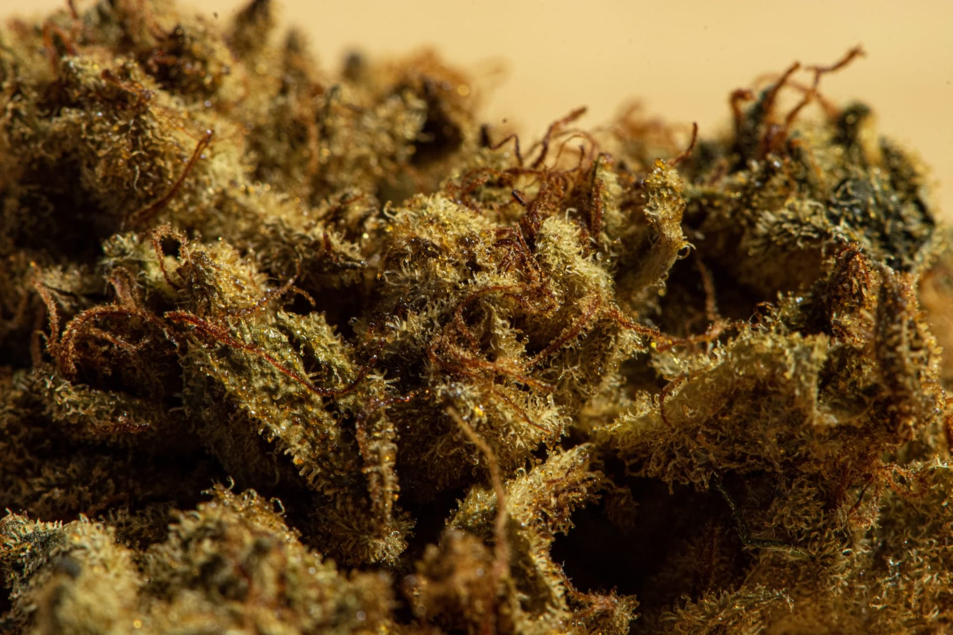 Broken Coast Stryker close