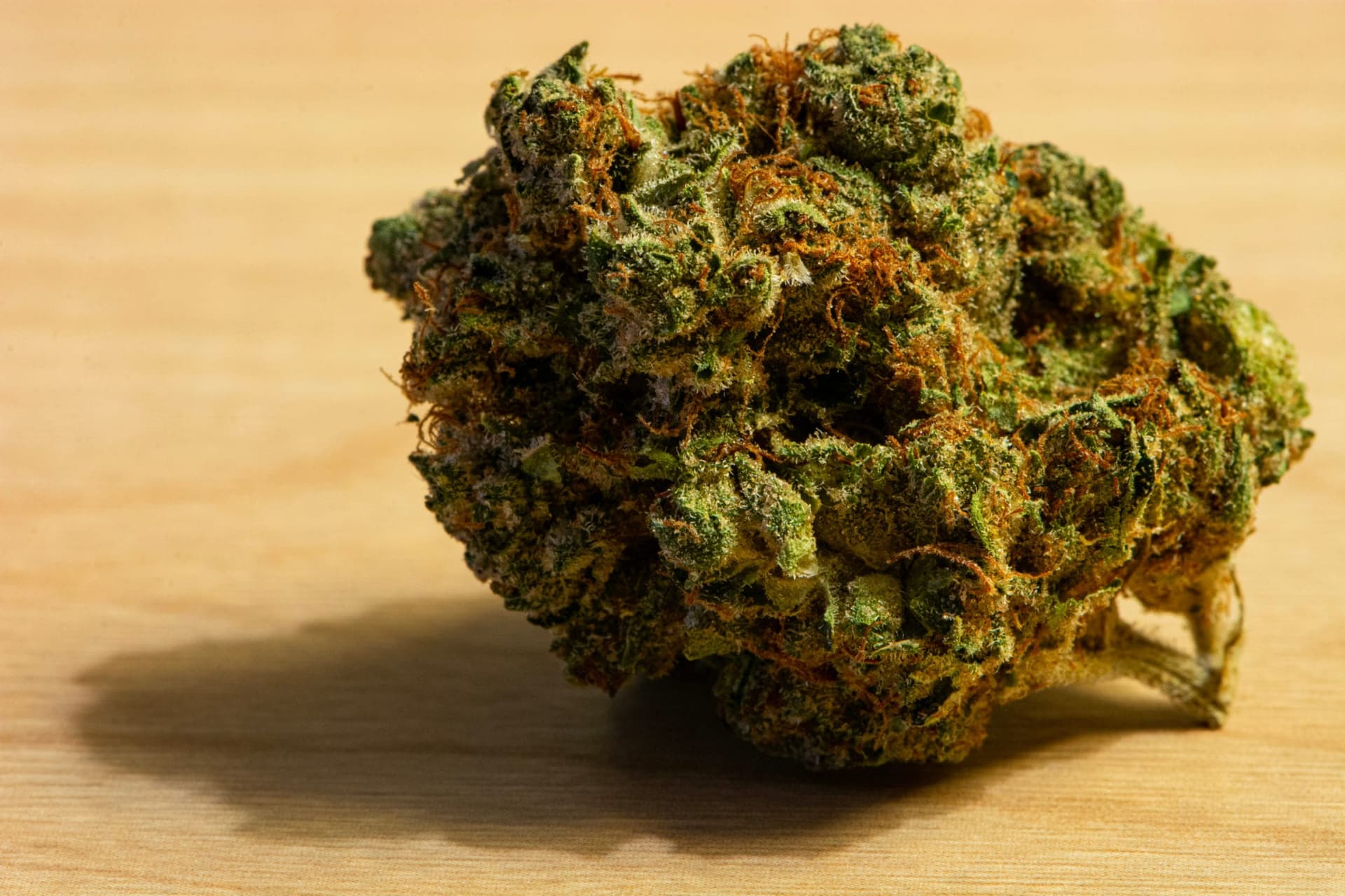 Instagram's cannabis restrictions aren't about the law - legal bud