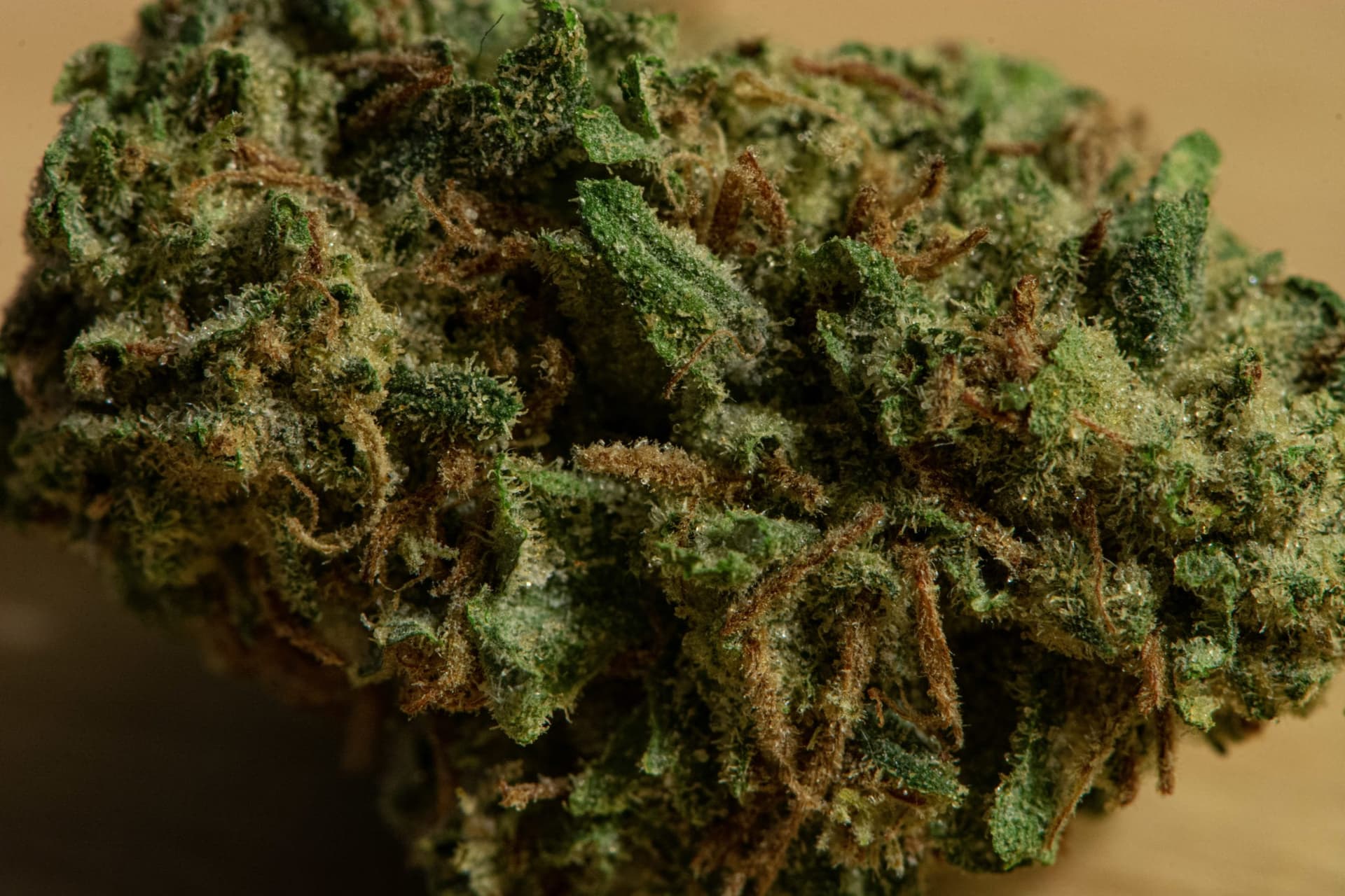 Simply Bare SFV OG close