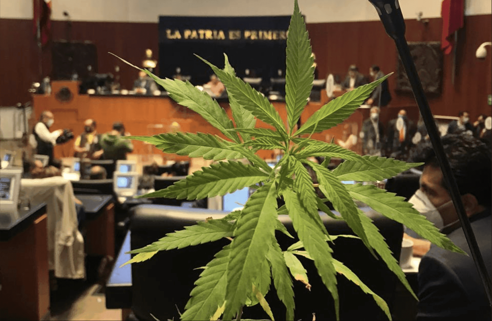Mexico's regulated market not expected until 2022 despite being on the brink of legalizing weed,