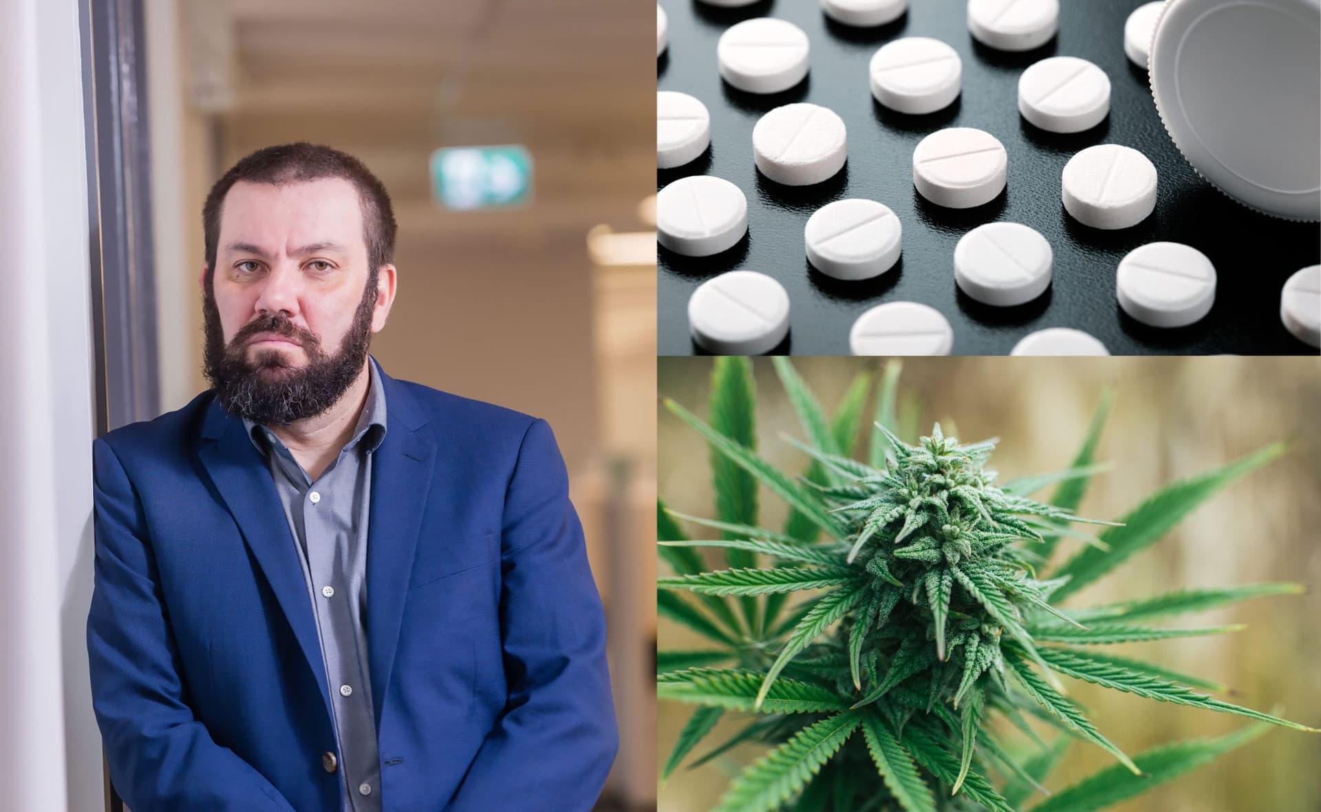 A record 3,627 cannabis studies were conducted in 2020