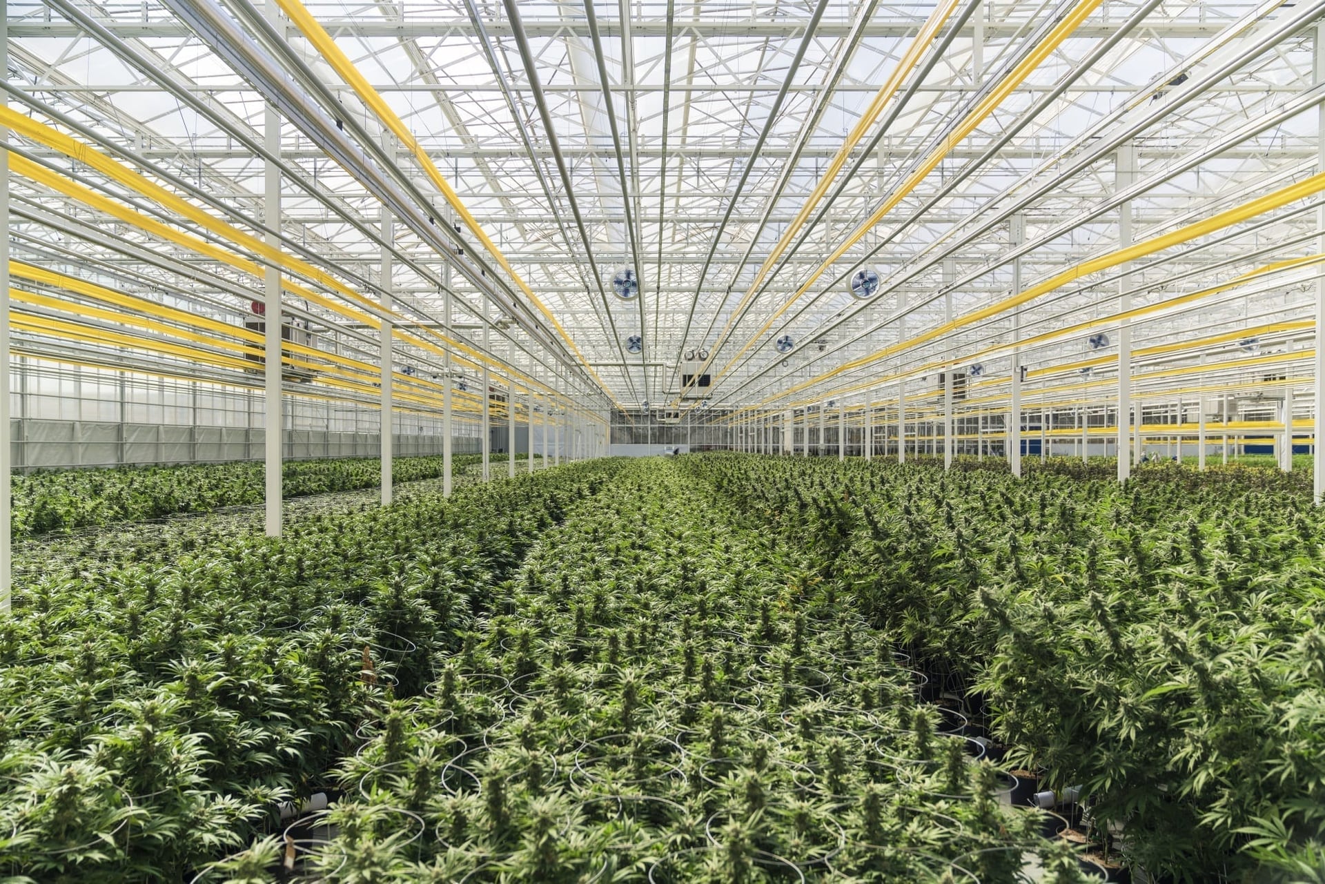 Aphria stock hits 2-year high on record Q2 sales