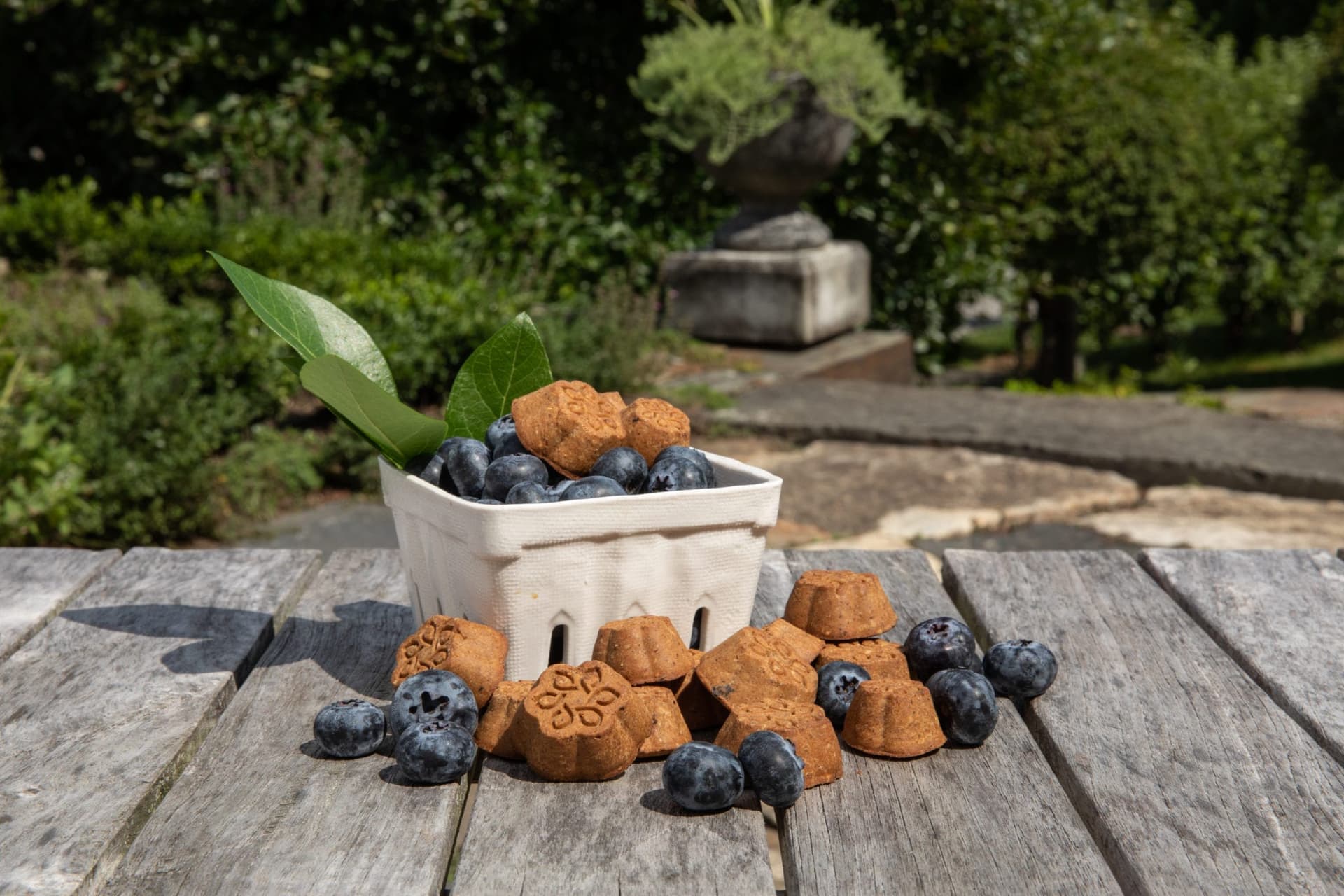 Martha Stewart and Canopy Growth release CBD dog treats — but are they safe - treats