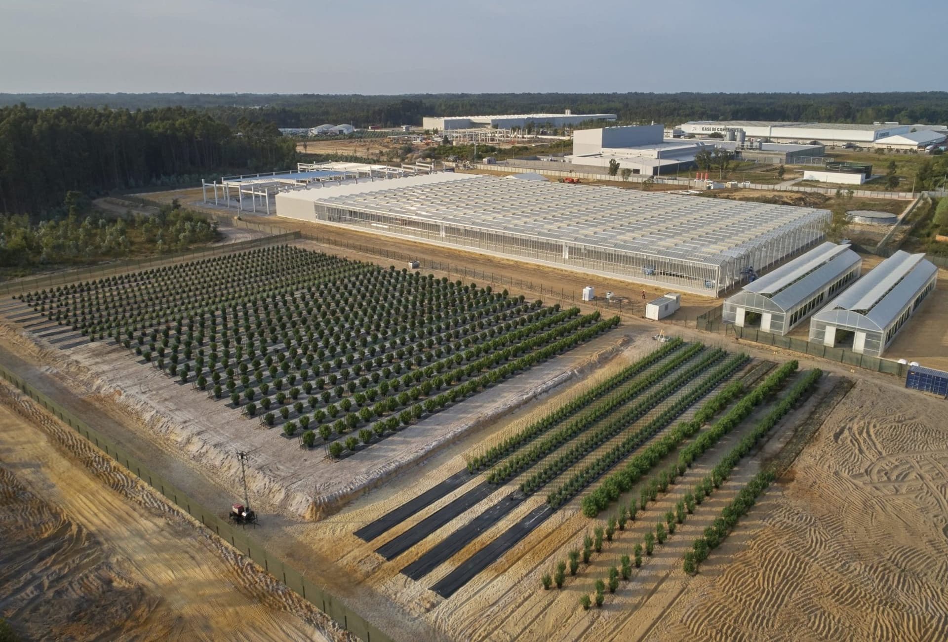Tilray to supply medical pot in France; Aphria expands brand in Germany