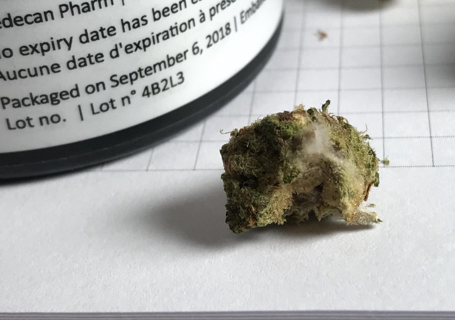 Slow provincial pot distribution channels continue to create issues like mould