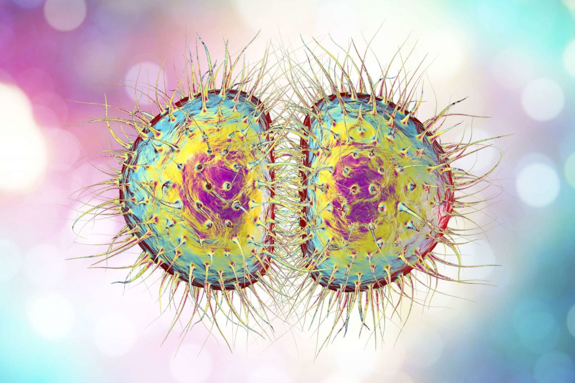 New study shows CBD kills treatment-resistant bacteria for first time