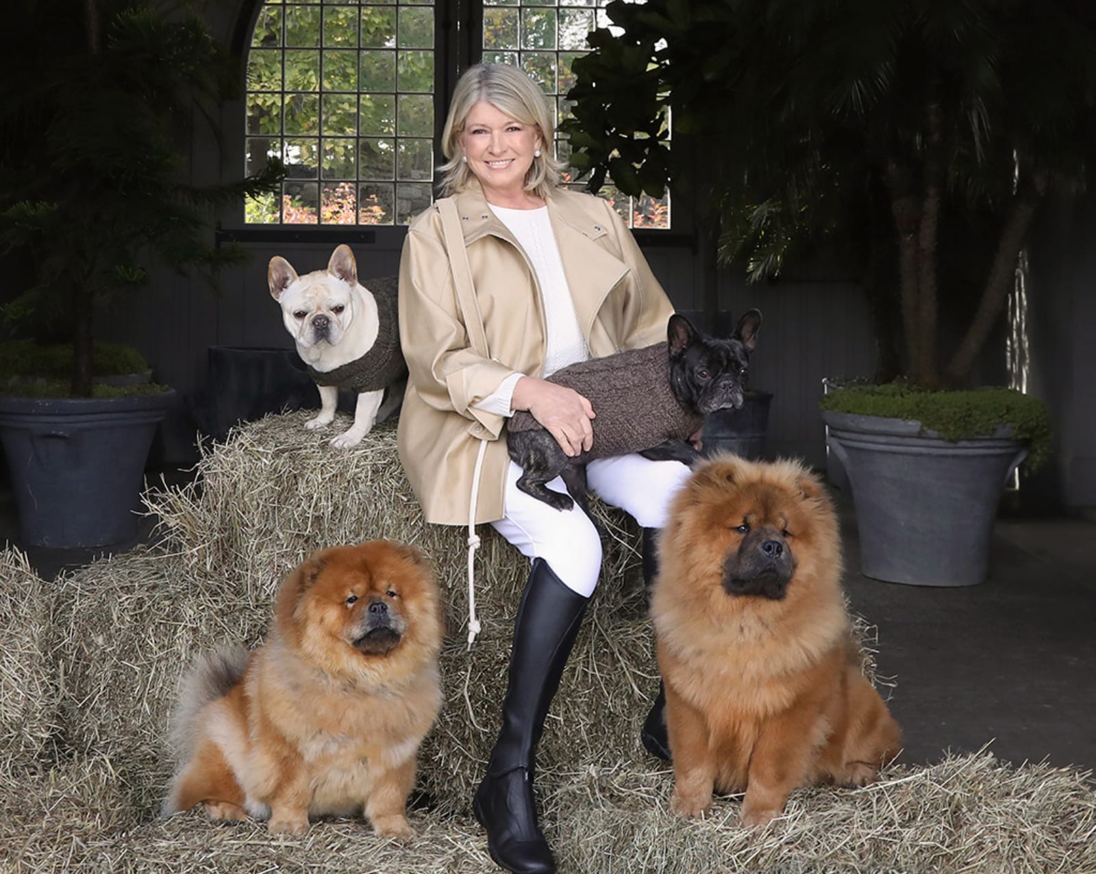 Martha Stewart and Canopy Growth release CBD dog treats — but are they safe?