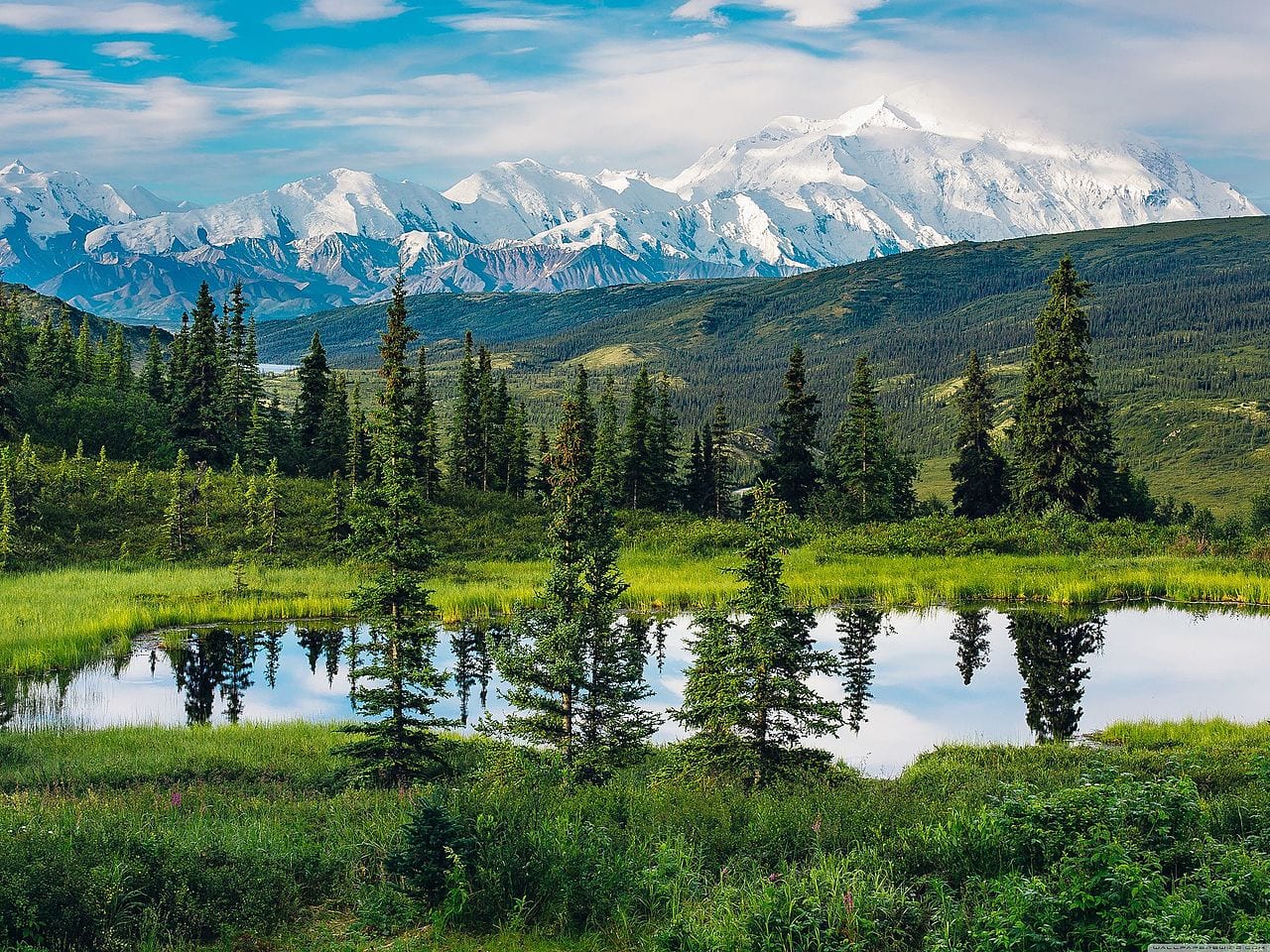 Nature amplifies therapeutic effects of psychedelics - study - trees and mountains