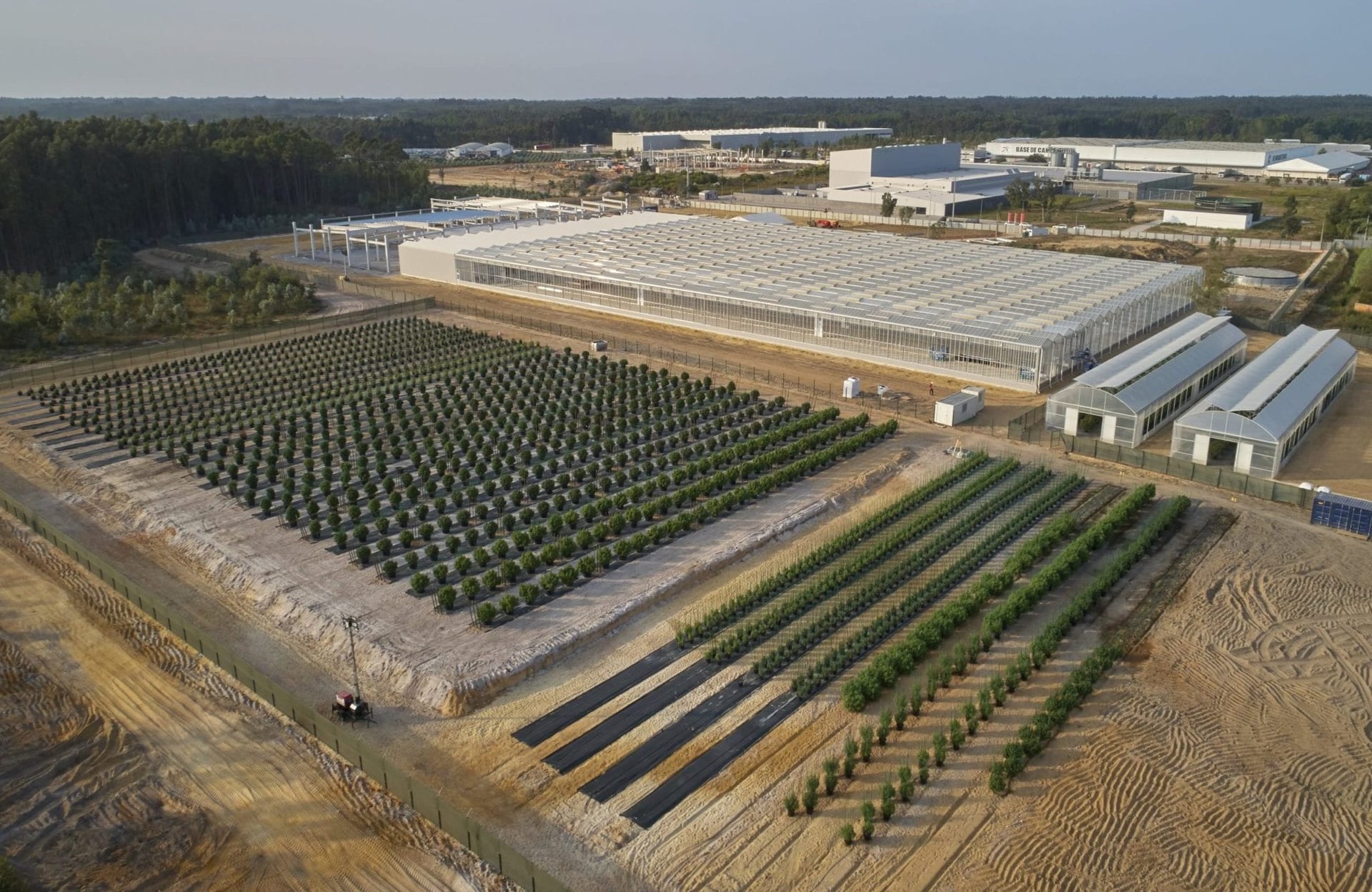 Tilray first to gain cannabis market approval in Portugal