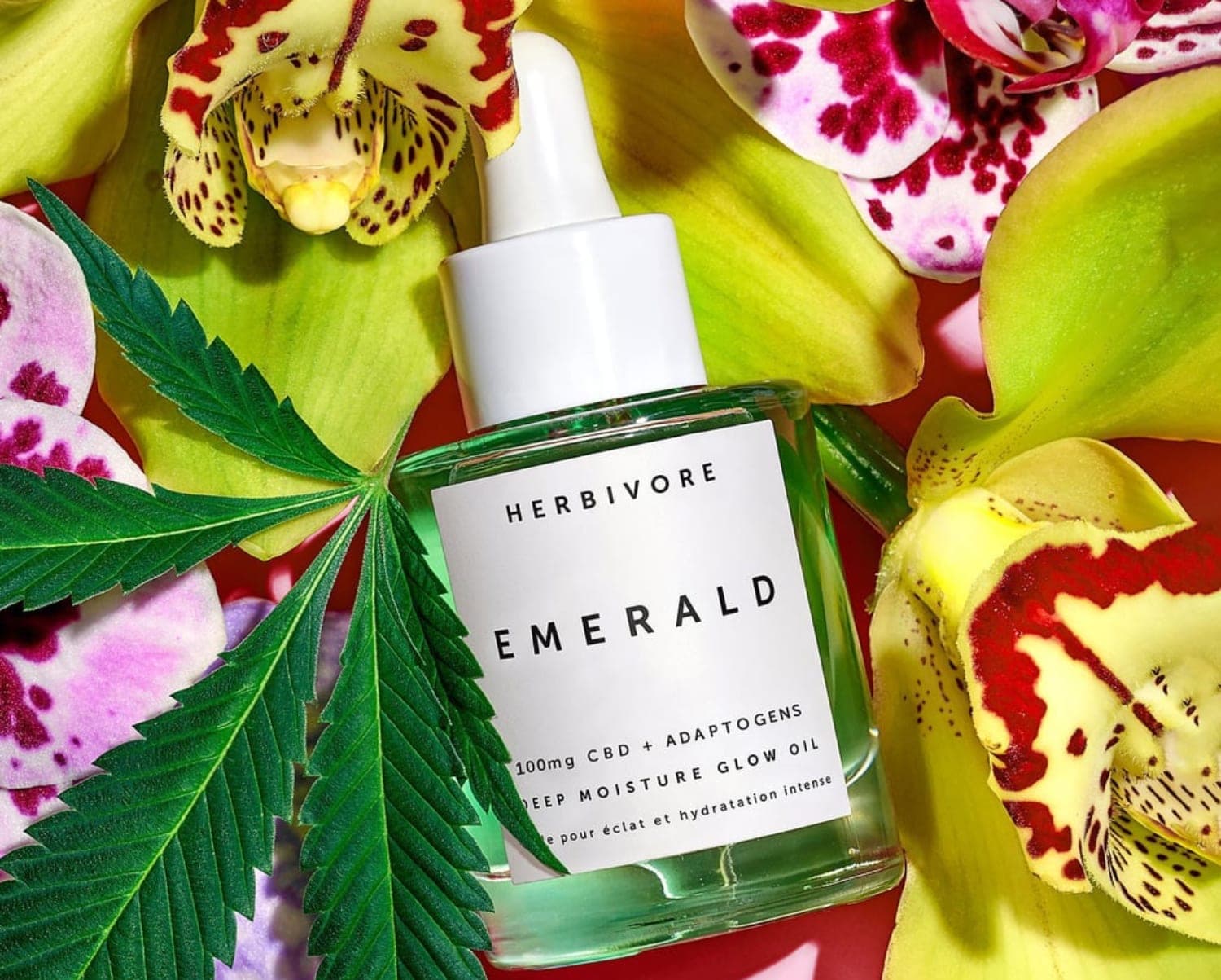 Cannabinoids can be absorbed in the skin and reverse aging, study suggests