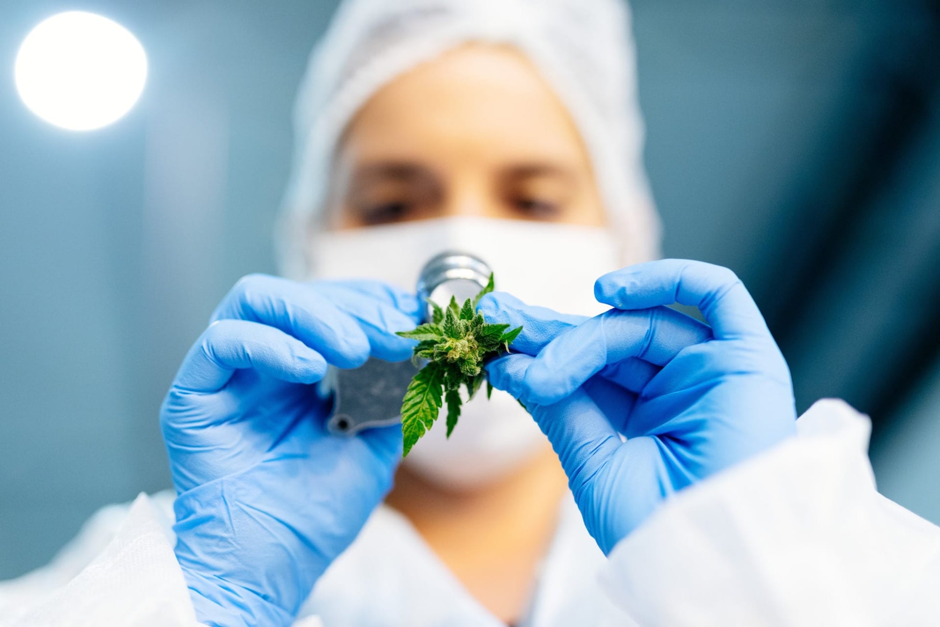 Tilray partners with Italian cancer researchers, launches 3 new medical cannabis products