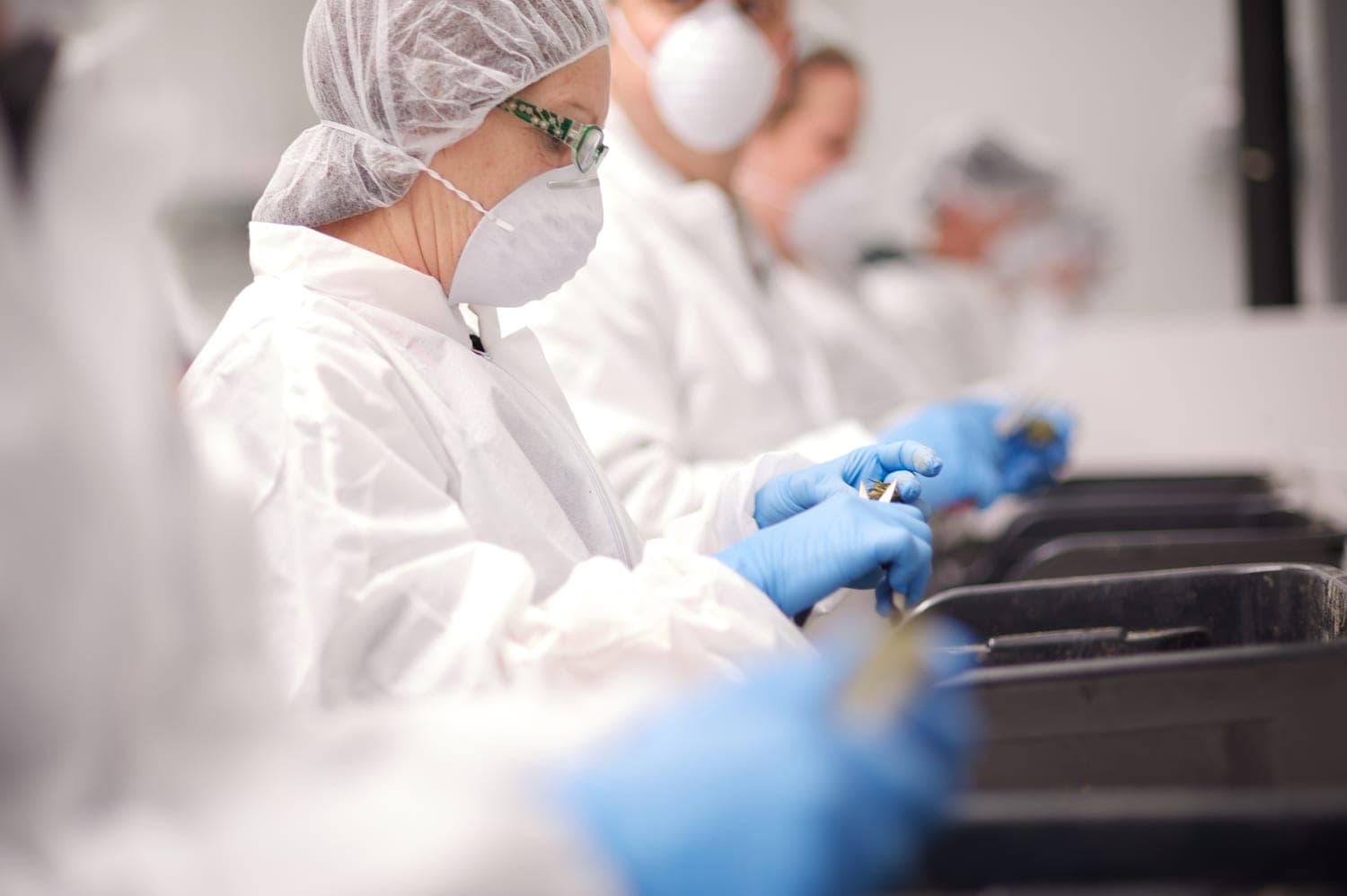 Tilray first to gain cannabis market approval in Portugal