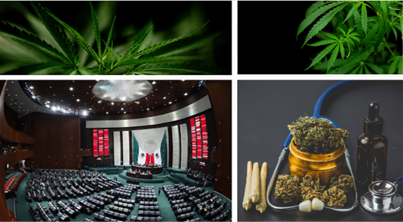 Mexico's lower house approves recreational marijuana bill