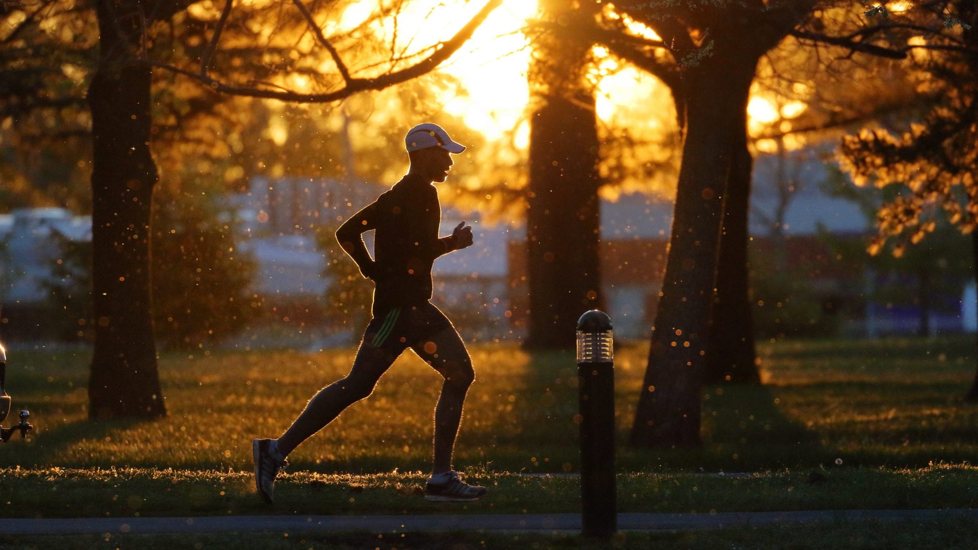 Why running gets you high