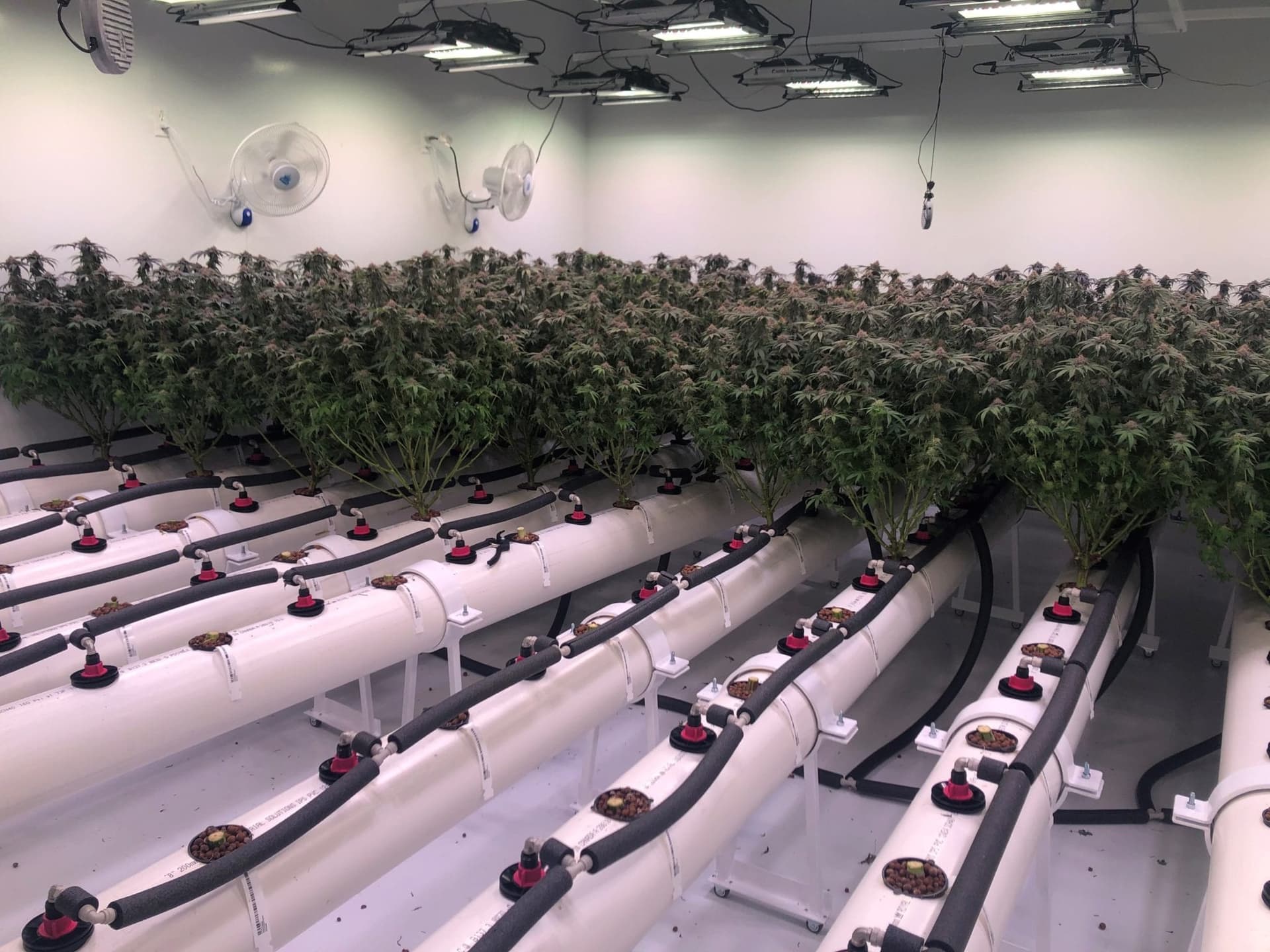 Saskatchewan micro-producer North 40 gets local praise for job creation