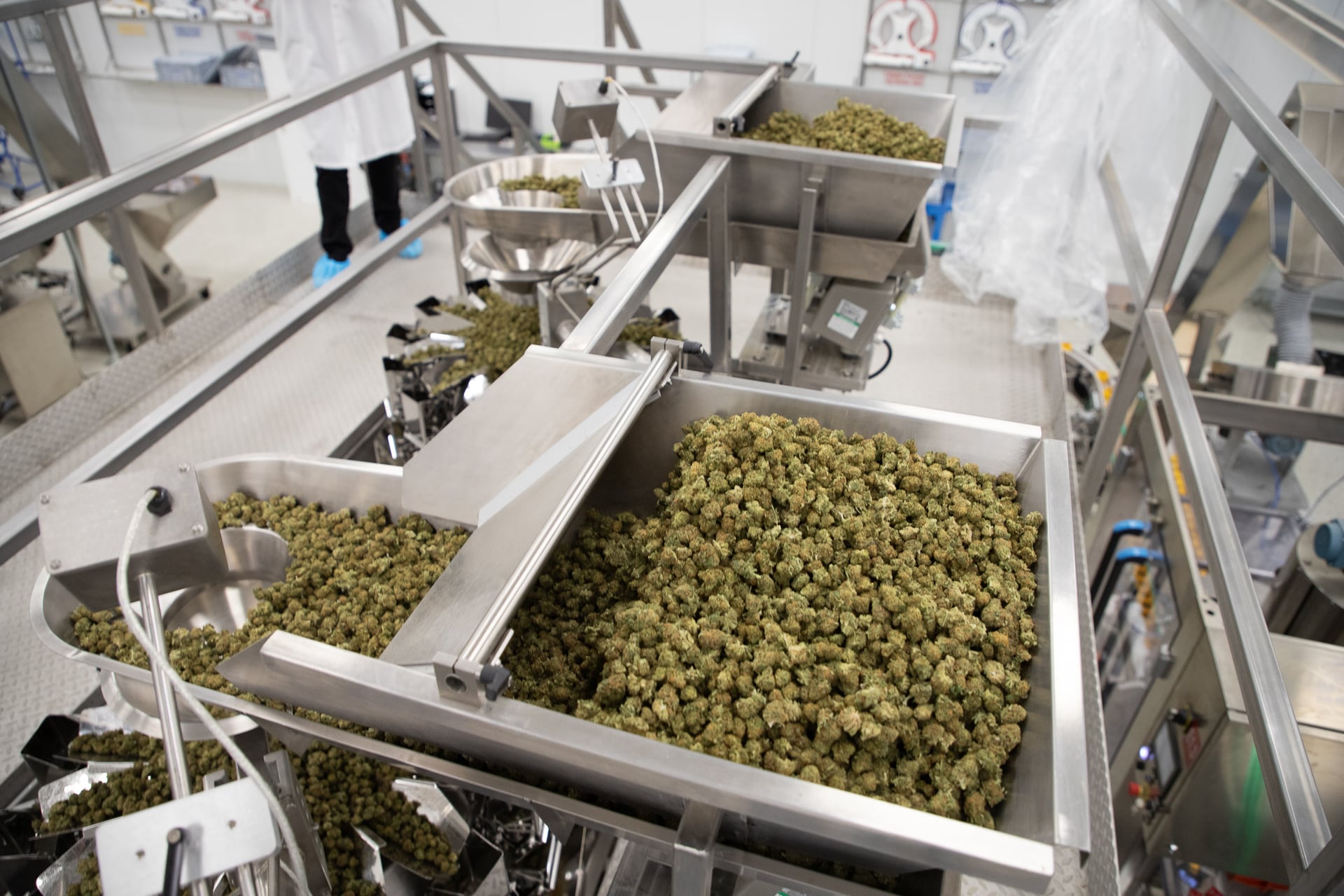 Aphria blames slump on Covid despite steady market growth