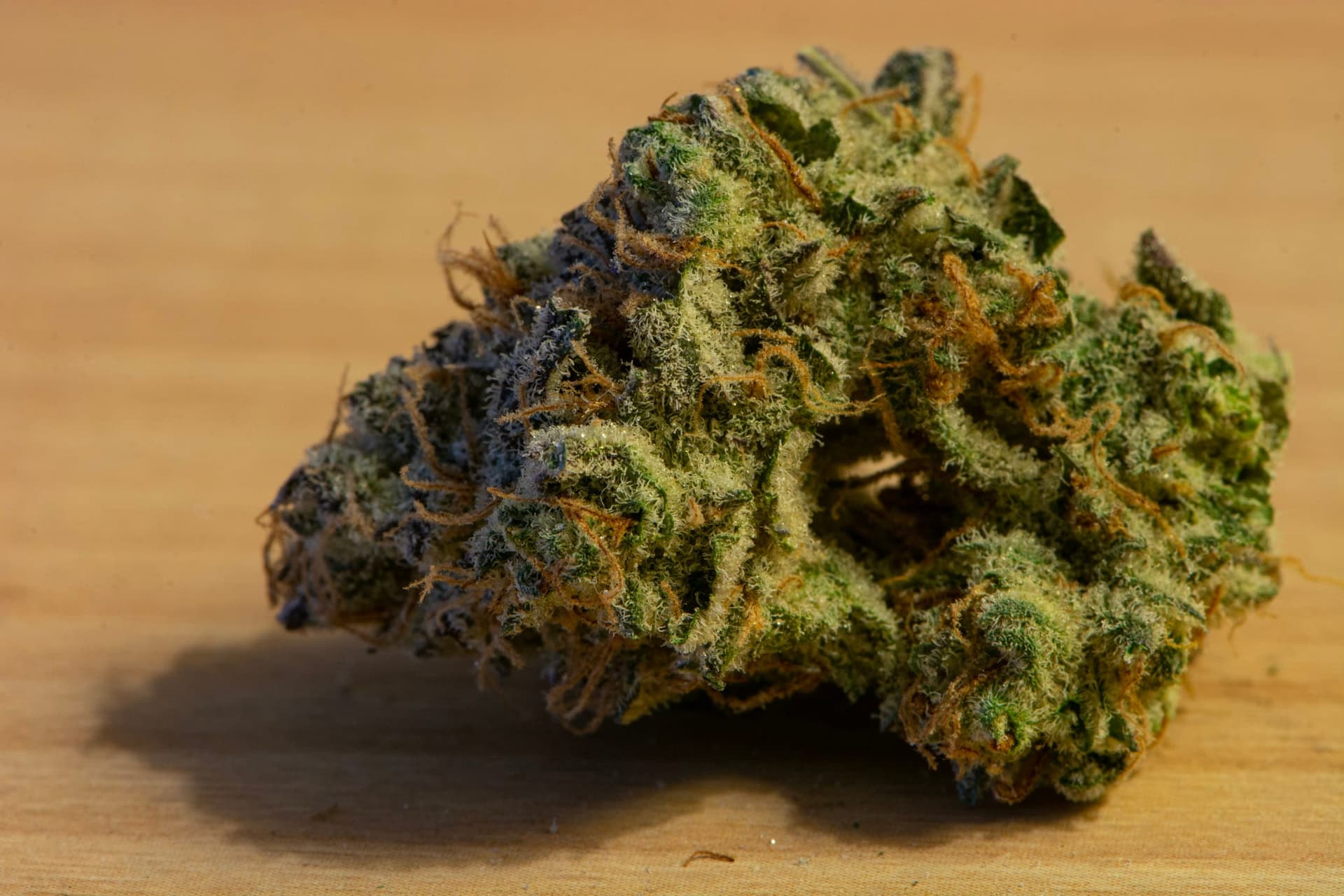 BLKMKT wins premier ARCannabis Cup - pb mac close edit